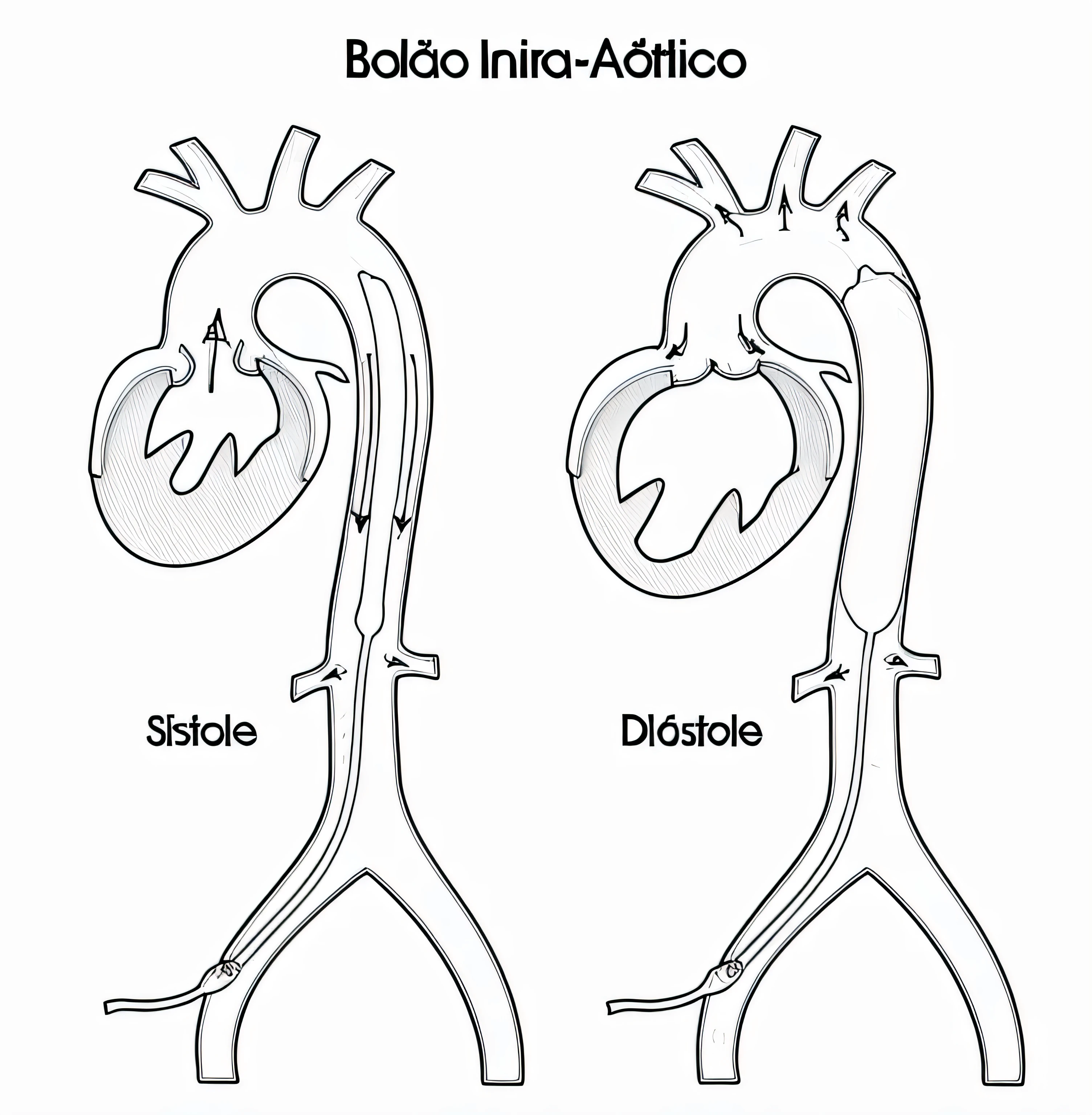 heart valves, line drawing, Ultra HD, 4K