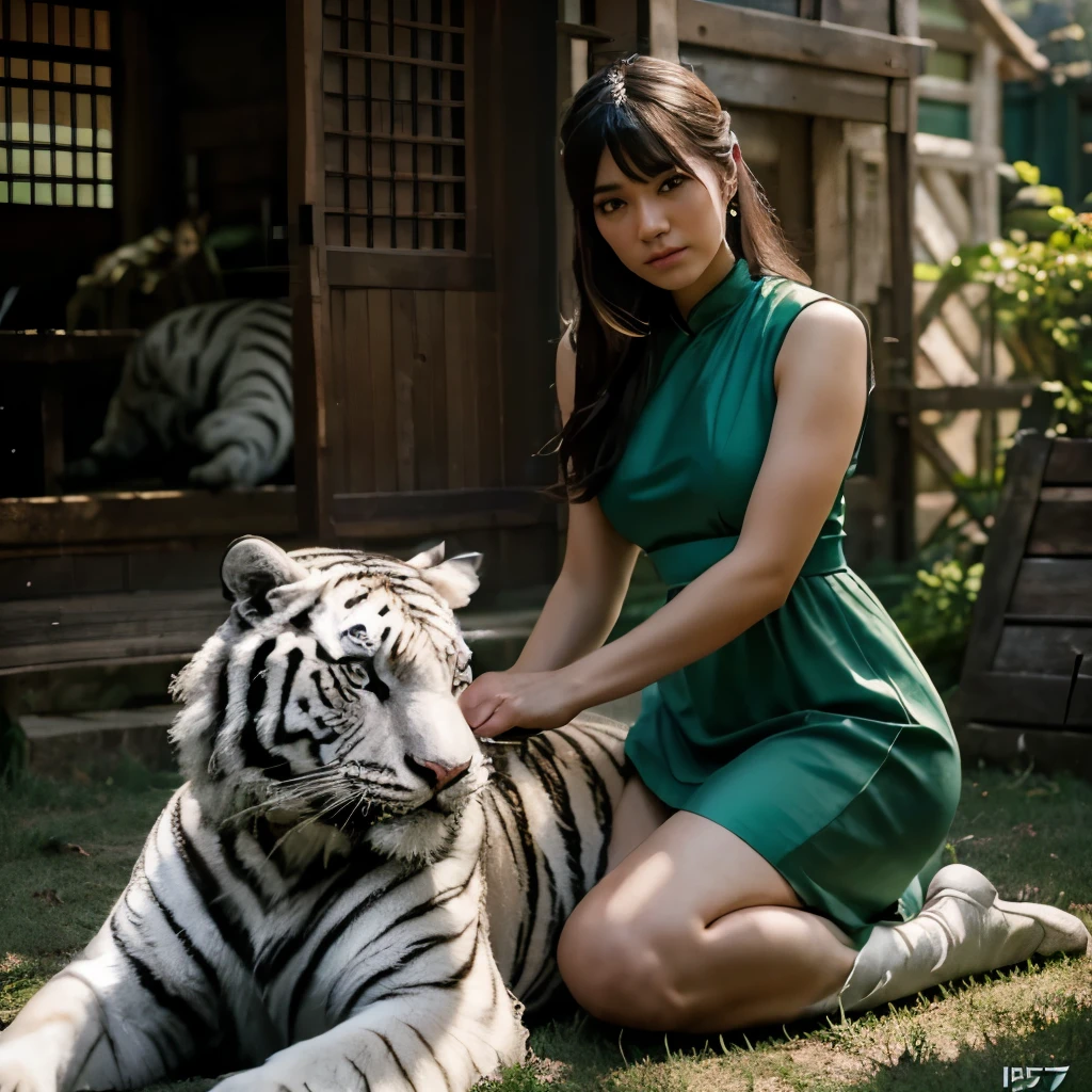 A young man in green dress sitting next to White Tiger, fantasy photoshoot, japanese live action movie, Ruan Jia and Artgerm, sitting on tiger cavalry, Photo taken with Nikon D750, Photo taken with Nikon D 7 5 0, with magical creatures, shot on nikon z9, shot on canon eos r 5, shot on a Canon EOS R5