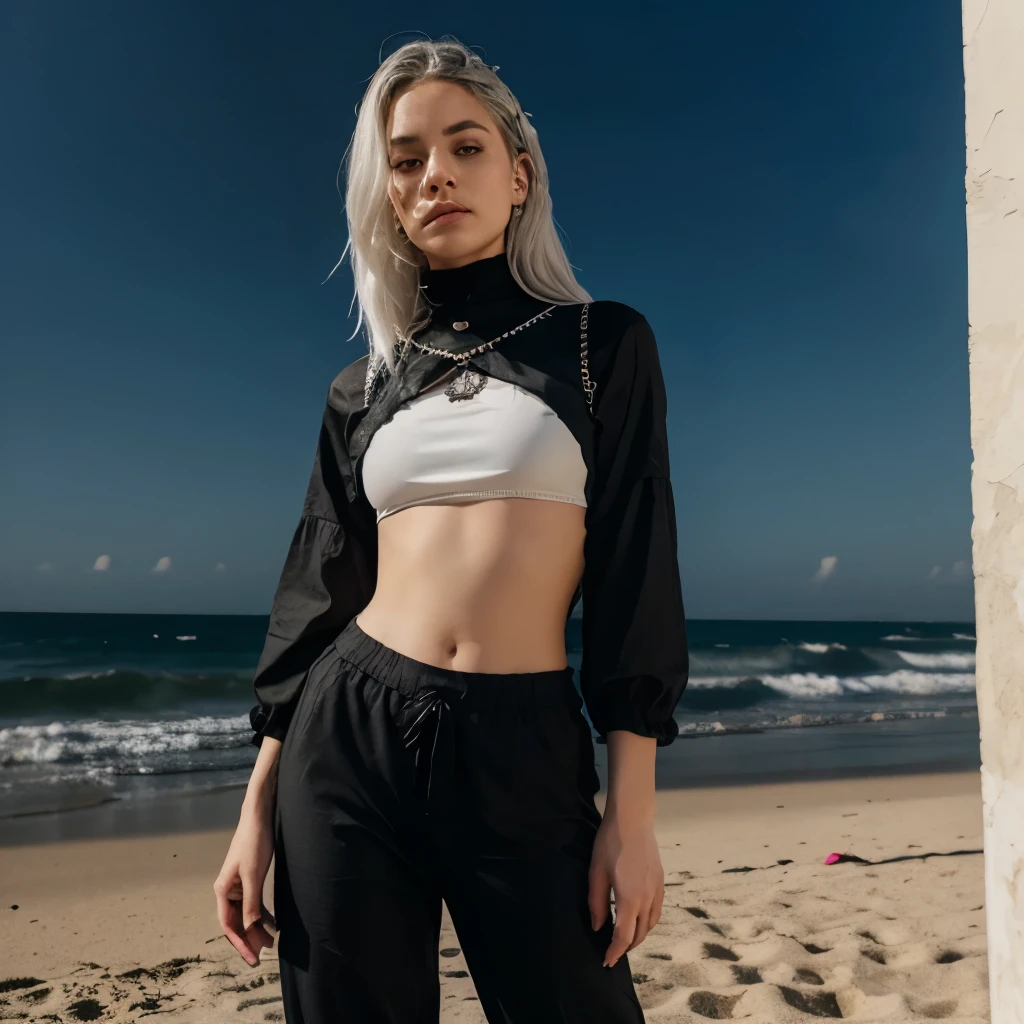 Meisterwerk, best quality, ultradetailliert, Illustration,, hanekawakurzhaar, 1girl, Full body, , Schwarze Augen, mehrfarbiges Haar, schwarzes Haar, white hair,, crop top, hippie pants,, detaillierter Hintergrund, mksts-Stil, Strand, Sonnenuntergang, barefoot 