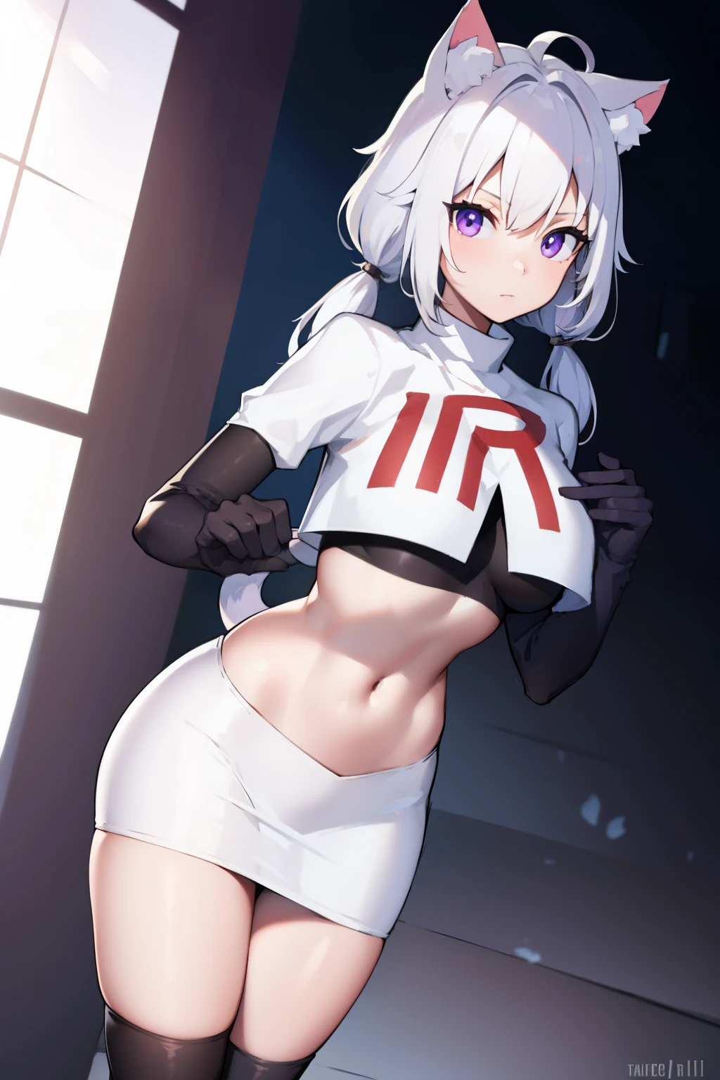 shyreifaolan, shyrei faolan, bangs, white hair, hair ornament, animal ears, twintails, (purple eyes:1.1), tail, ahoge, cat ears, cat tail, low twintails, facial mark, cat girl, tail ornament, medium hair,
team rocket,team rocket uniform, red letter R, white skirt,white crop top,black thigh-highs ,black elbow gloves
BREAK looking at viewer,
BREAK (masterpiece:1.2), best quality, high resolution, unity 8k wallpaper, (illustration:0.8), (beautiful detailed eyes:1.6), extremely detailed face, perfect lighting, extremely detailed CG, (perfect hands, perfect anatomy),