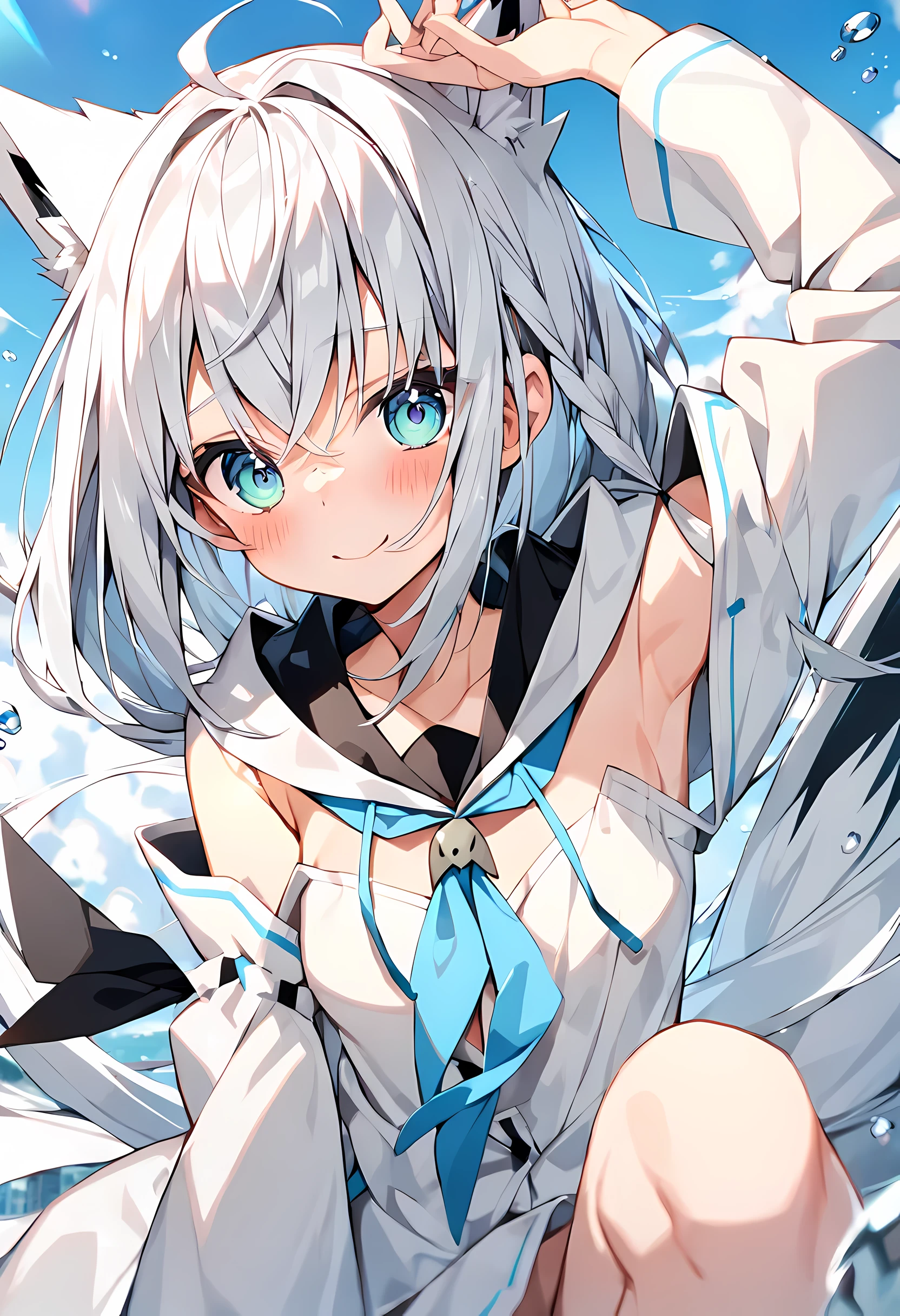 , Shirakami Fubuki /(Holographic live broadcast/)