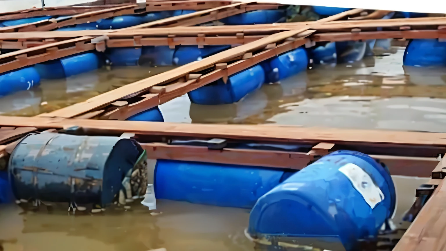 There are many barrels that are sitting in the water, walking wooden planks, floating plastic barrels, subsiding floodwaters, bioremediation, closeup photos, HDPE, floods, barrels, water-logged, flooding, partially submerged, water levels, aquatic devices, fish flocks, bioremediation plant, tubes, traps, closeup of magic water gate, edited