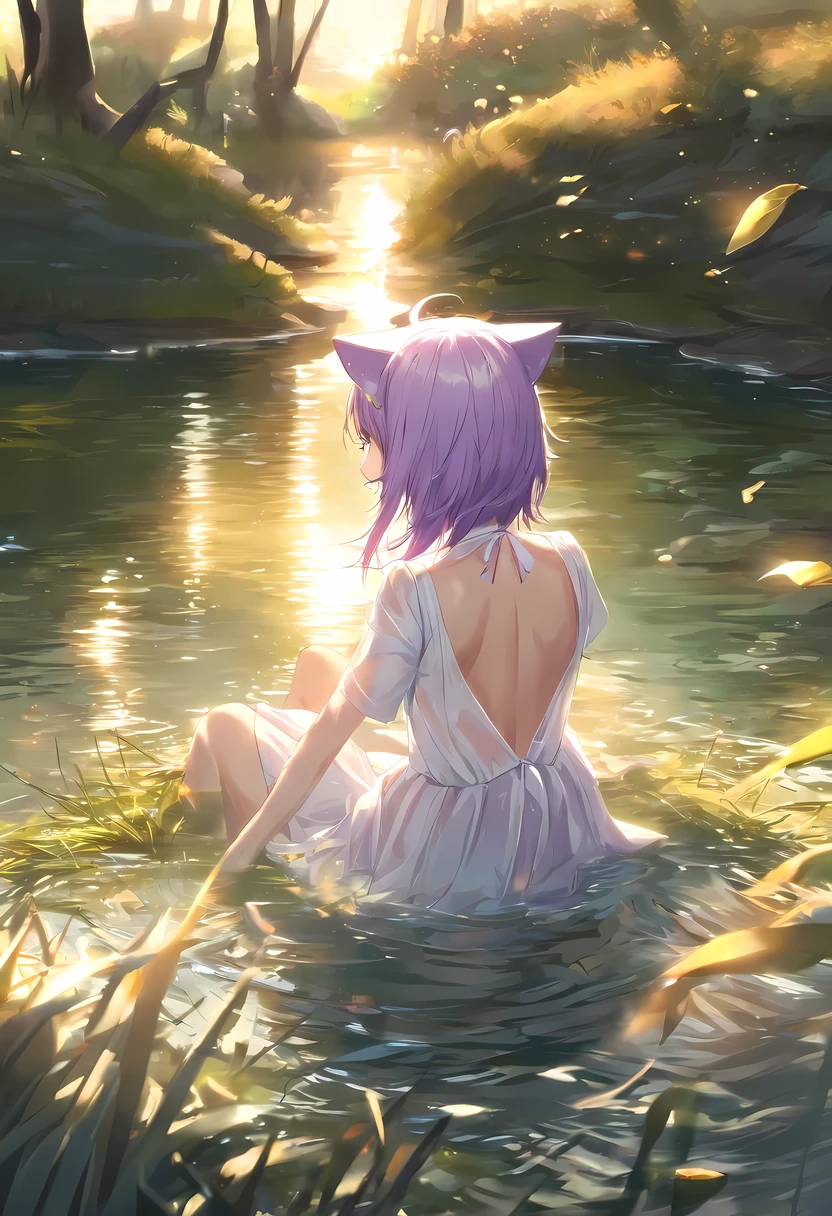 ,Cat and sweet soup/(Holographic live broadcast/),Bareback,female student,beautiful and delicate water, best quality grass, The light is very delicate, nature,