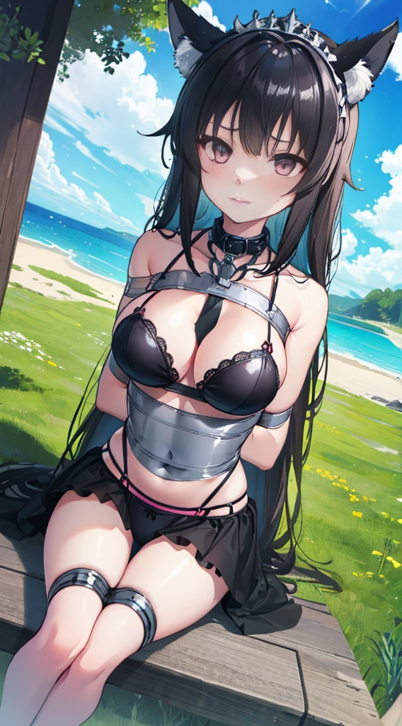 high quality, masterpiece, Super detailed, 1 girl, and clearly visible, alone, Black lace latex bikini，Maid tiara，Tape closure，Tie up all over with tape，BDSM,handcuffs，collar，calm expression,shy，bright red lips，handcuffs，collar，long black hair, charming pink eyes, fox ears, Ridiculously big, shiny skin, sit on the grass，hands behind back，Bright wilderness，grassland，waterside