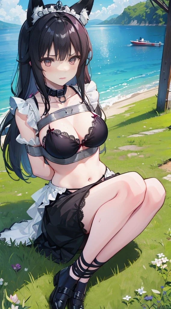 high quality, masterpiece, Super detailed, 1 girl, and clearly visible, alone, Black lace latex bikini，Maid tiara，Tape closure，Tie up all over with tape，BDSM,handcuffs，collar，calm expression,shy，bright red lips，handcuffs，collar，long black hair, charming pink eyes, fox ears, Ridiculously big, shiny skin, sit on the grass，hands behind back，Bright wilderness，grassland，waterside