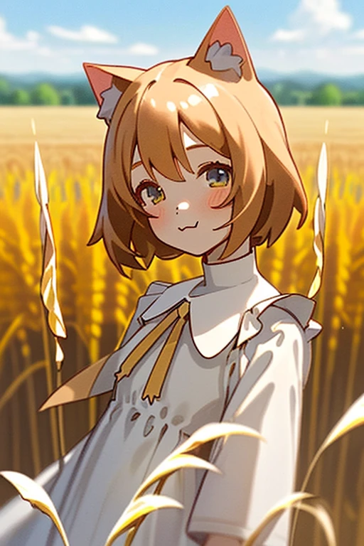 illustration/ 1️⃣👧➕cat ear/ 😊/ 🌤️/ 🏞️/ Corn field/ ⛰️/ upper body/ Pure white dress/ Face in focus/ looking at viewer/ Bokeh/ Blurred Backgrounds/ depth of field/ Aerial perspective/
