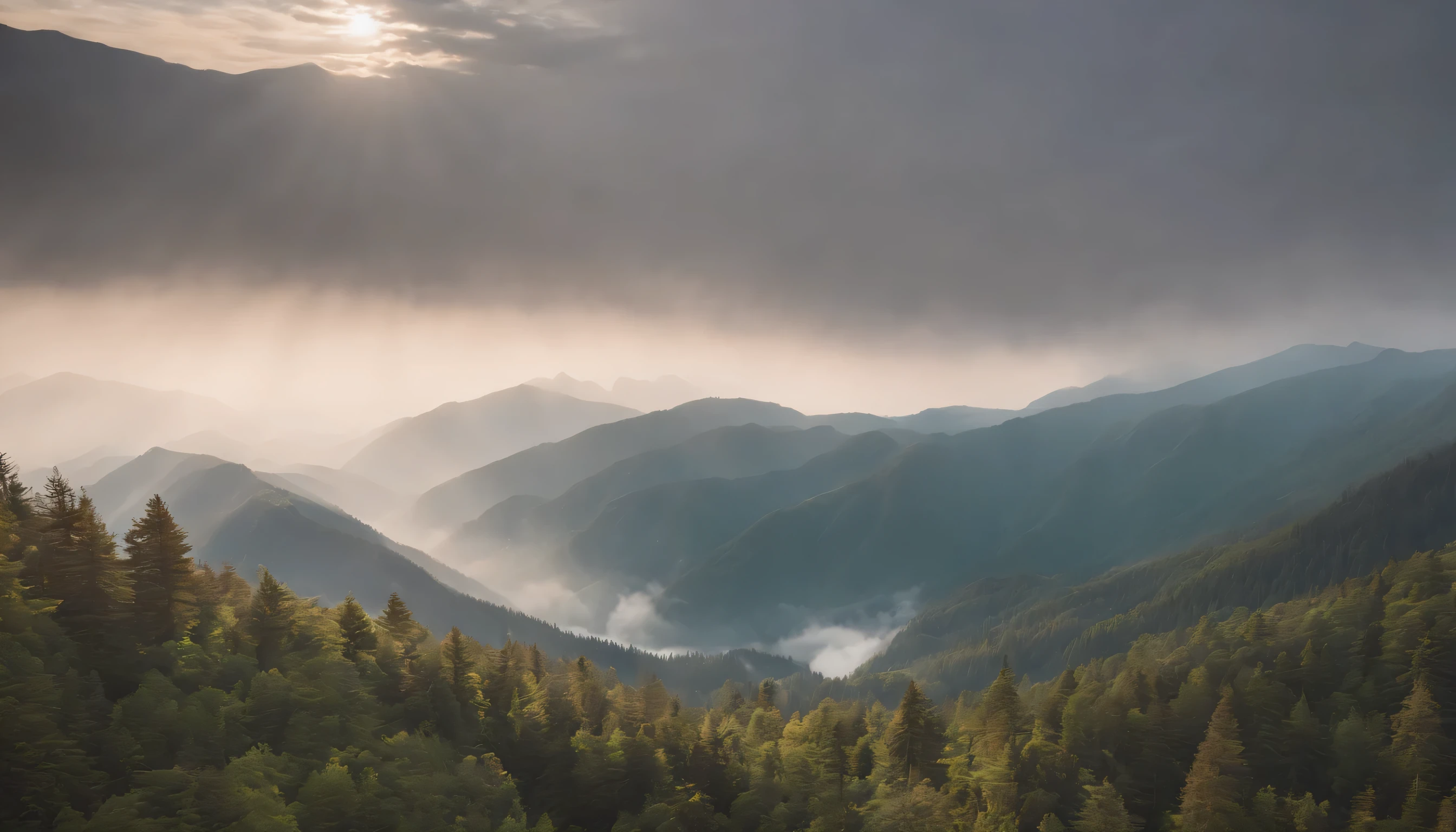 (Highly detailed CG Unity 8k wallpaper、masterpiece、highest quality、Super detailed)、(best lighting、best shadow、very delicate and beautiful)、highest quality、8k、Detailed facial depiction、masterpiece、highest quality、clear image quality、
Let&#39;s take a look at the sea of clouds from within the misty mountain forest..。