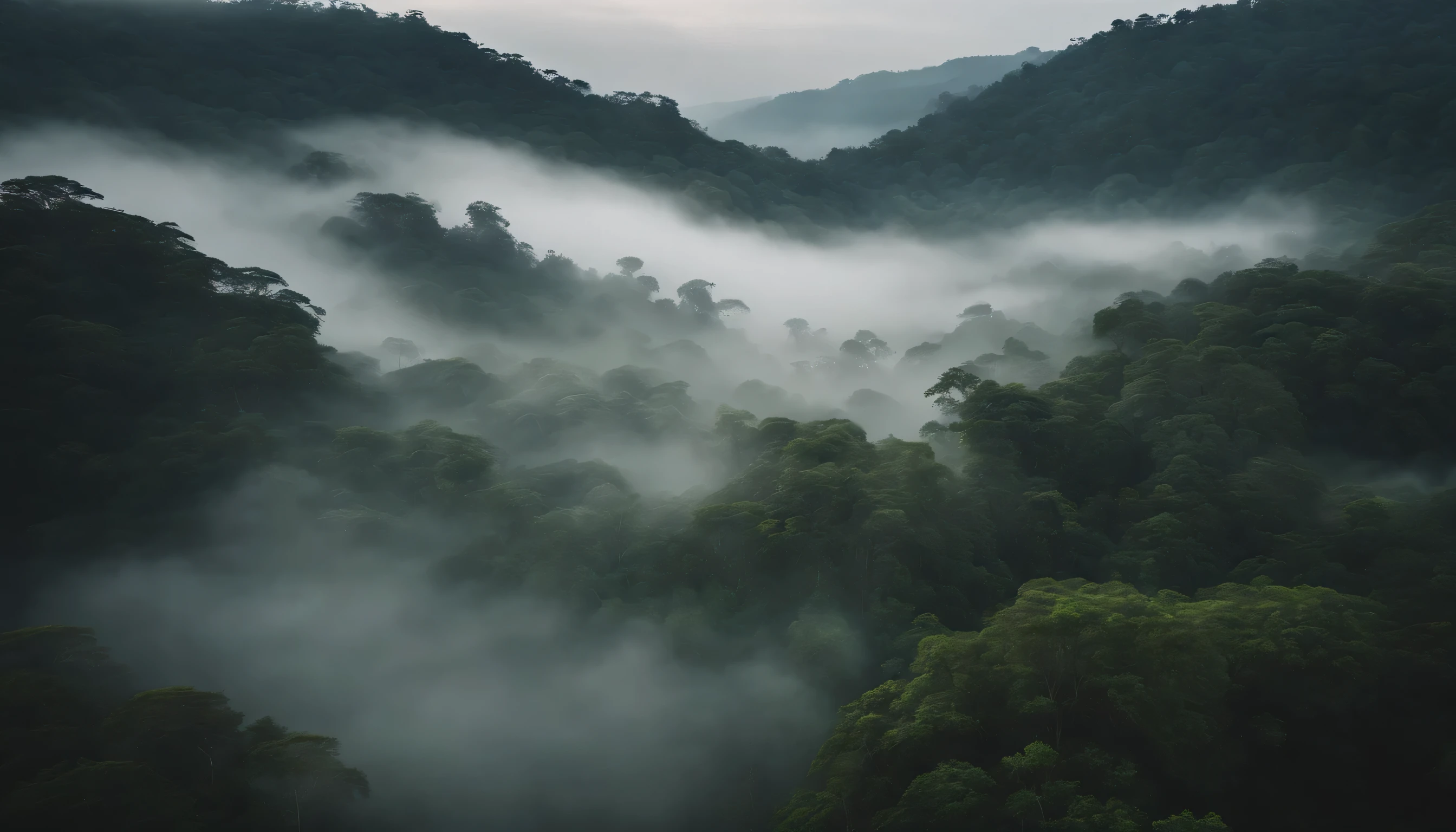 Landscape jungle cinematic drone shot scene with mist and fog covering the trees