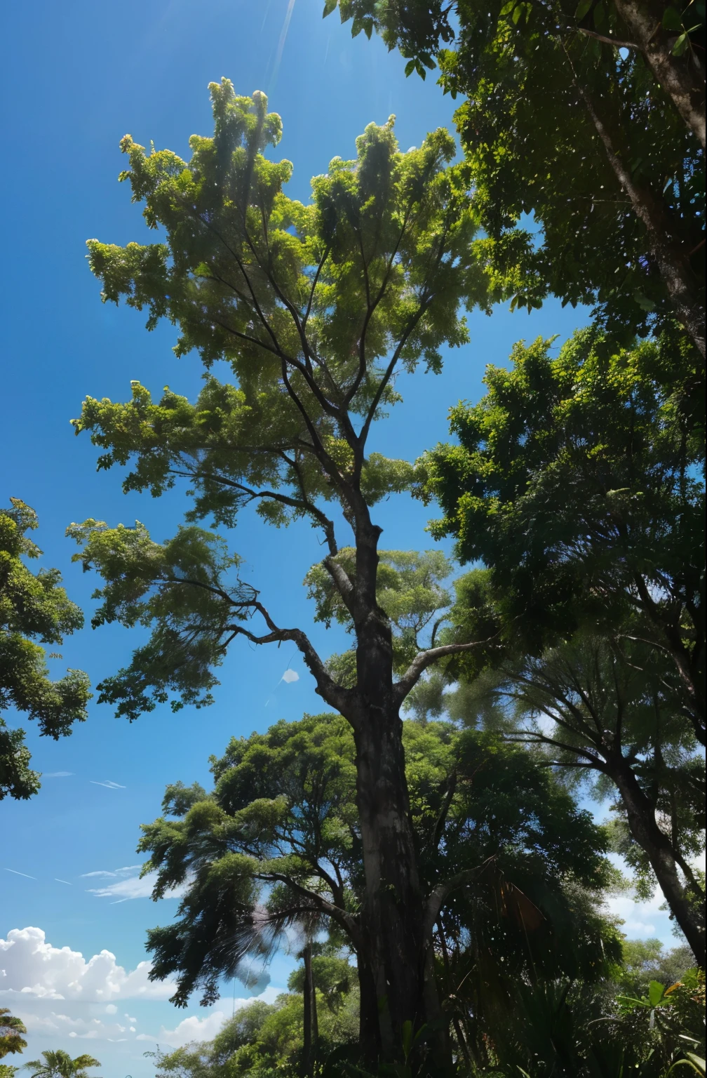 Photorealistic image of a tree, Brazilian jequitibá, foto da arvore inteira,muito bem detalhada,with sun rays penetrating the treetop, Blue sky,dia bonito,image only of jequitibá