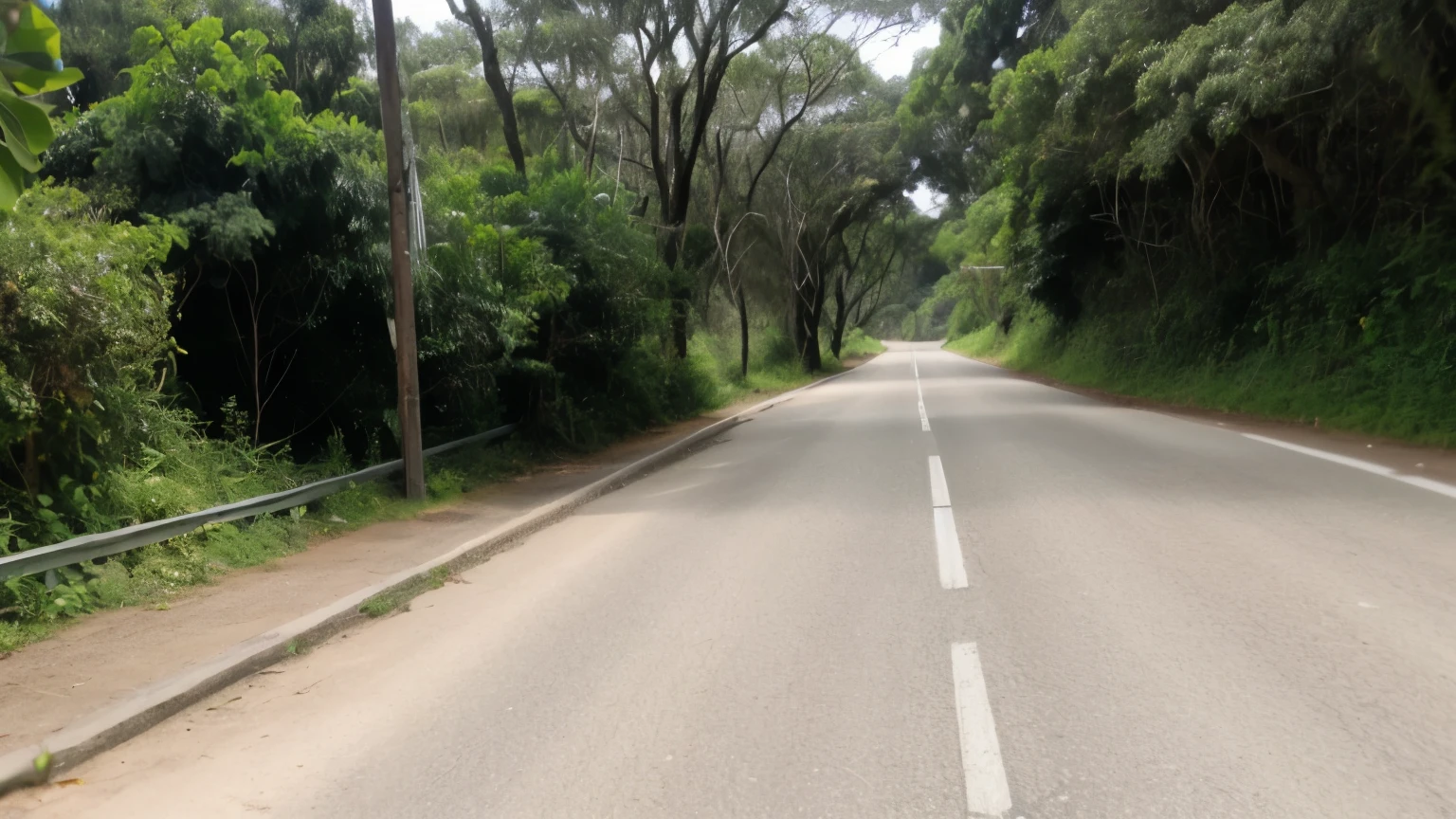 em fuga sobre uma bicicleta um ciclista foge de um tigre branco que o persegue em uma estrada sombria.
