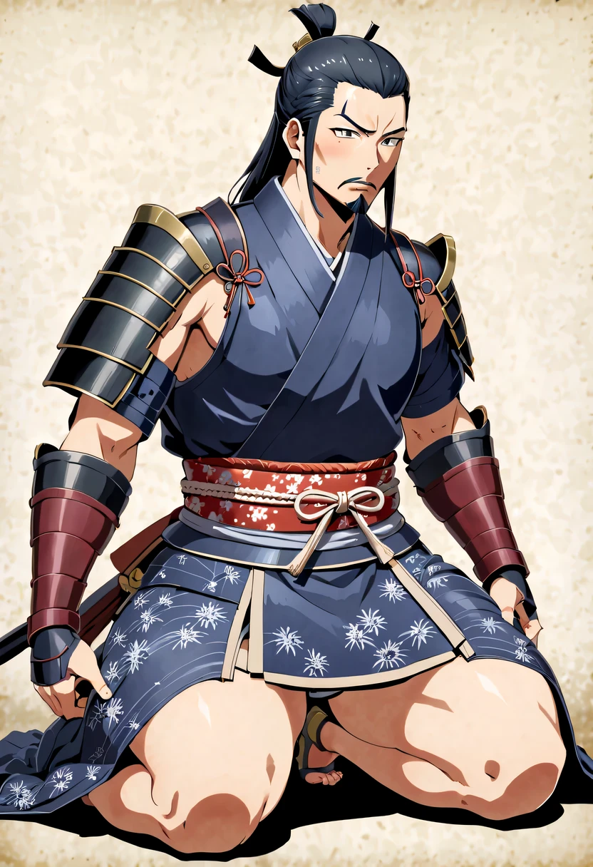 Japanese,kneel,or period,Daimyo,shogunate,warrior