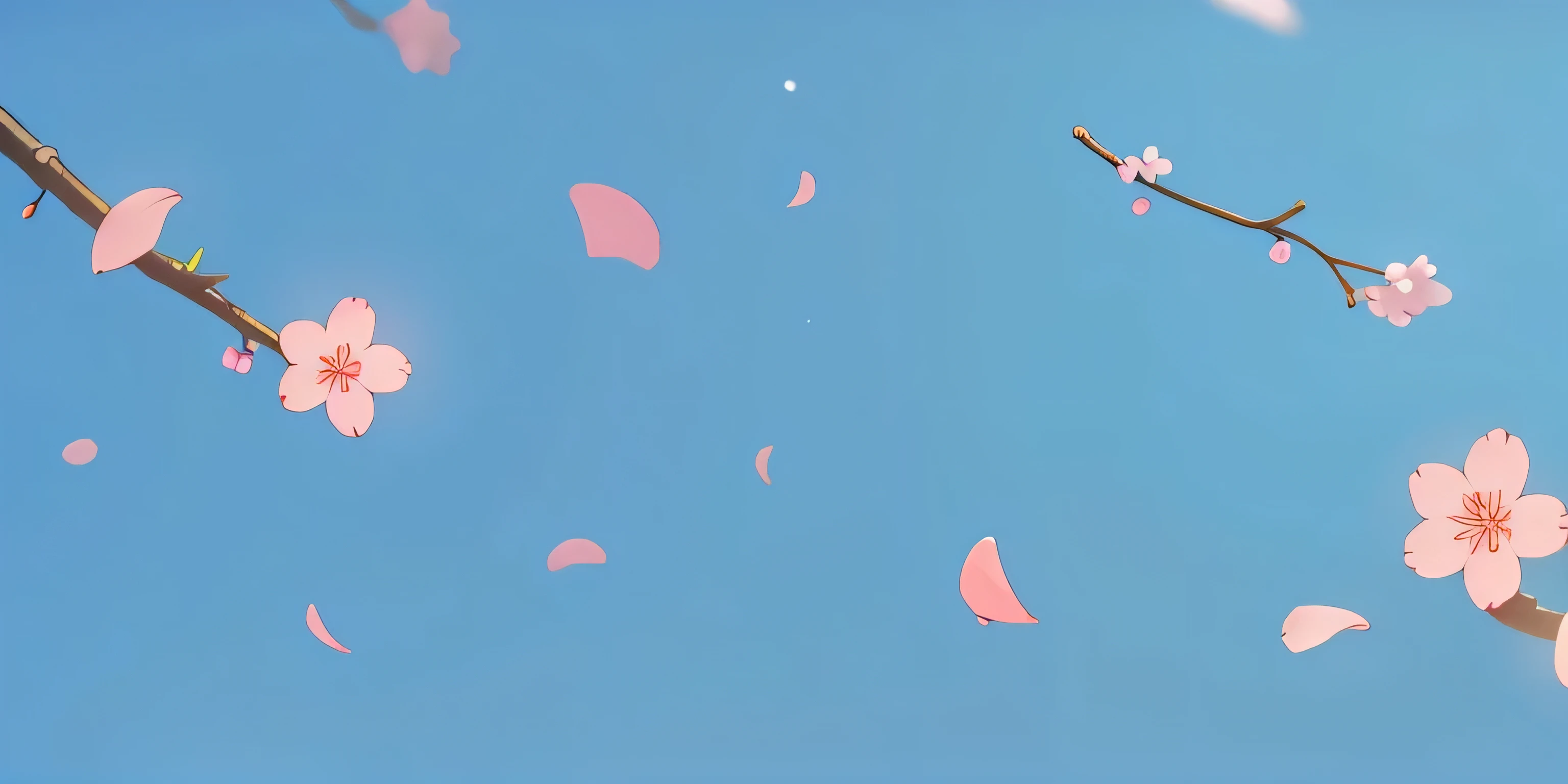 cherry blossom petals fall