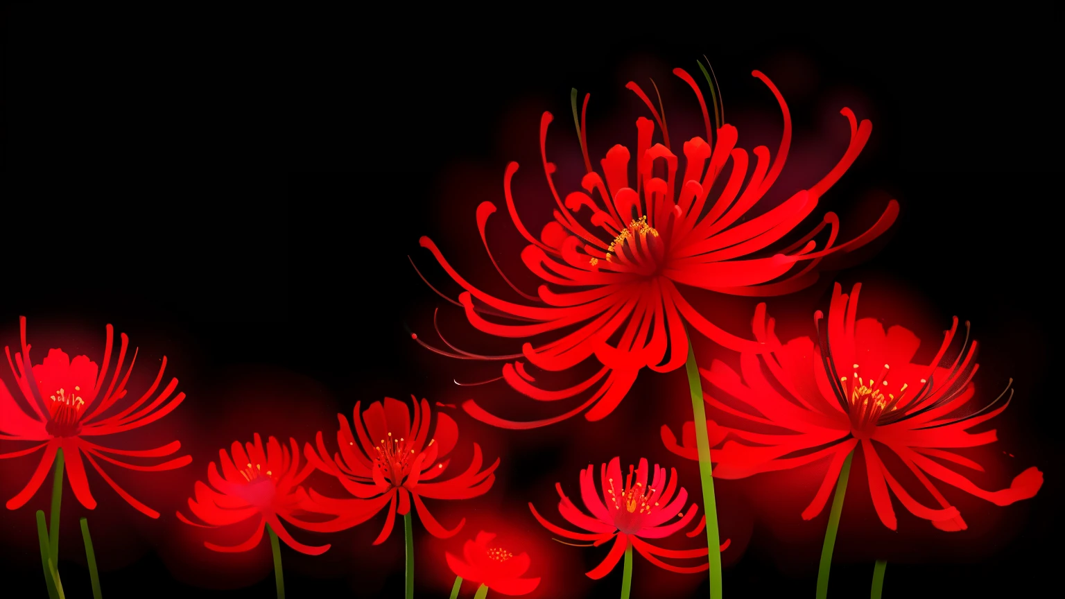 Spider lily flower in black background, Glowing flowers