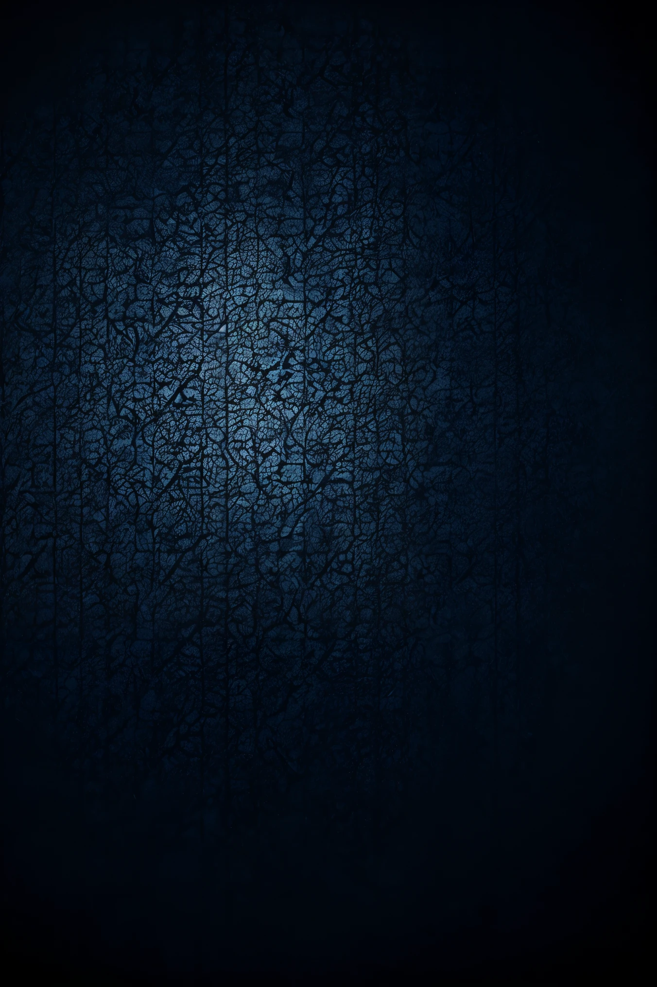 Dark blue wallpaper beautiful pattern