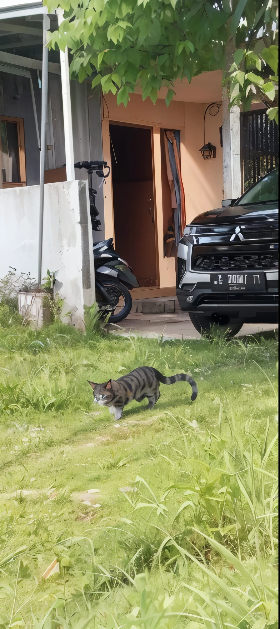 1cat, there is a cat that is walking in the grass, a car (mitsubishi xpander), taken with sony alpha 9, in front of the house, motocycle in house garage, the cat is walking, a cat, captured with sony a3 camera, captured on canon eos r 6, taken with sony a7r camera, shot on nikon z9, shot on sony a 7, cats! are around, makoto shinkai art, depth of field