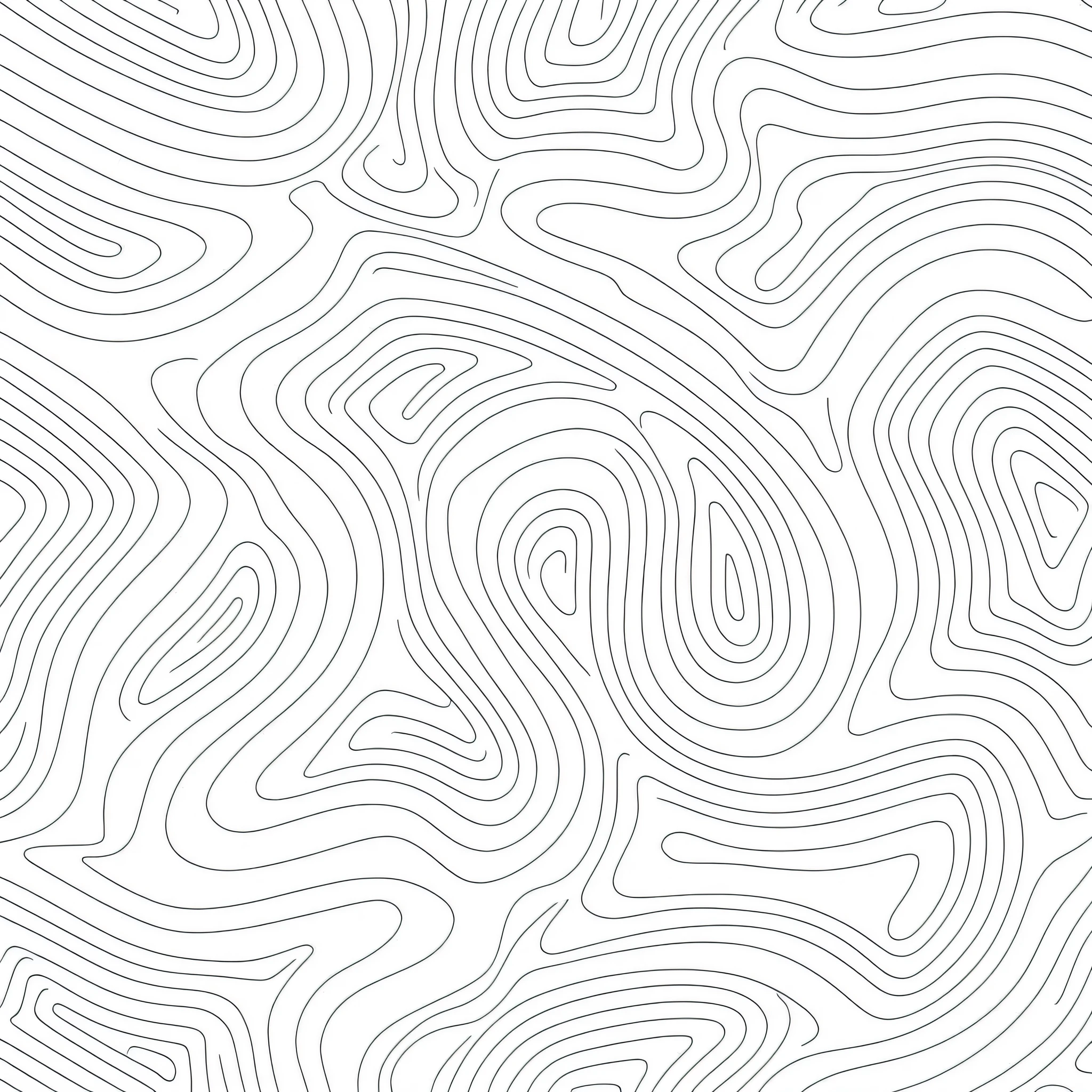 a white and black abstract background with wavy lines, crisp contour lines, cross contour, heavy contour lines, crisp contour - lines, pronounced contours, contours, topography, internal contours, abstract minimalist line art, bold contour lines, stylized thin lines, minimalist line art, thick lines highly detailed, line art illustration, thick vector line art, line vector art