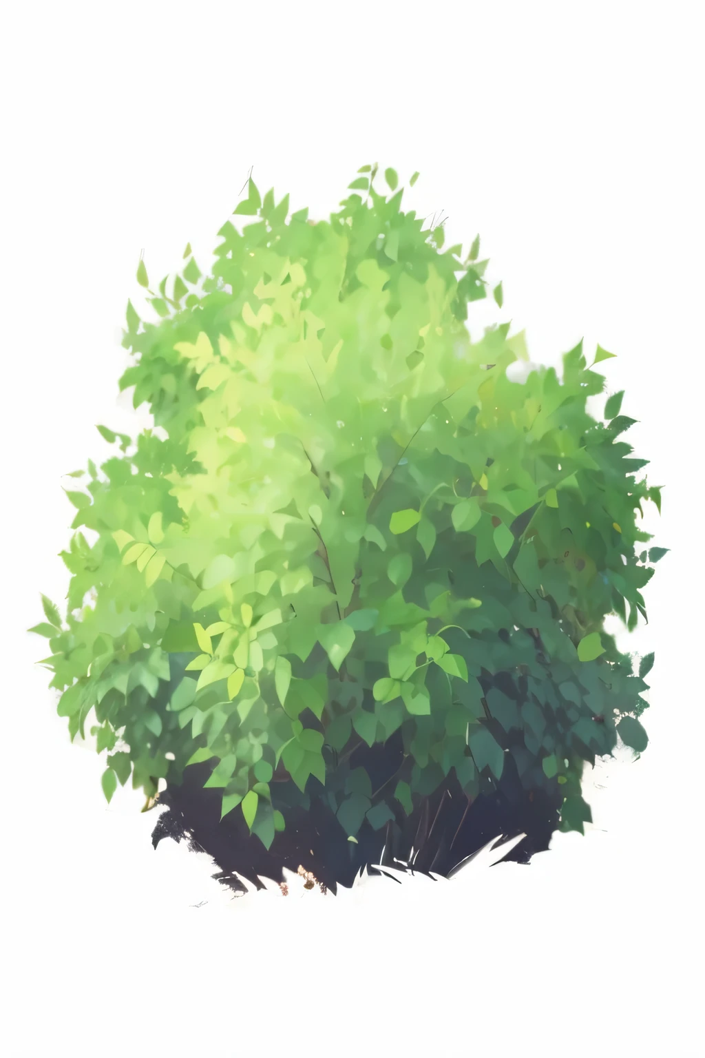 bushes