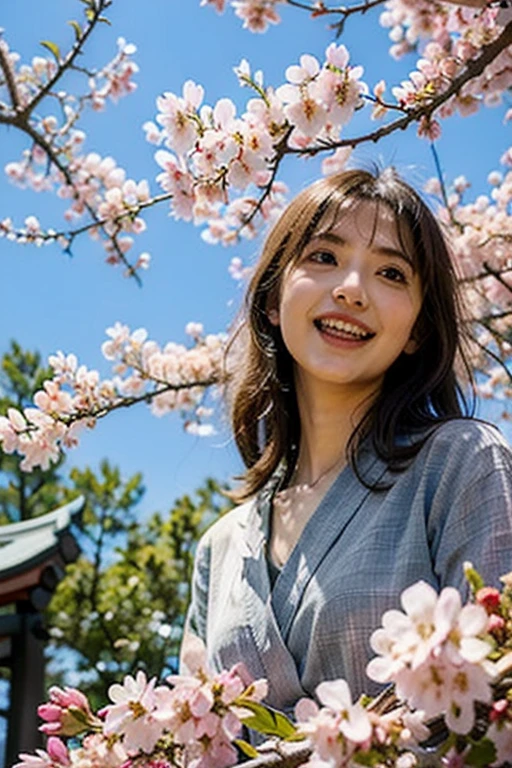 １girl、18-year-old、shrine maiden&#39;s attire、Climb a cherry tree and sit on the branch、anatomically correct、laughing、cherry blossom viewing、drinking juice、Cherry tree in full bloom、Hanabubuki、blue sky、A Japanese shrine can be seen in the distance、dutch angle、Photographed from below looking up、Realistic、masterpiece、High and fine、High definition