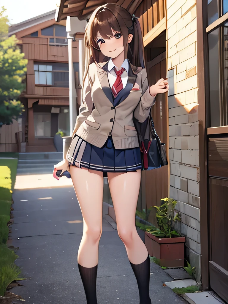 (1) An erotic woman is standing there, And she&#39;s hot, She lifts up her skirt to reveal her white lace panties.
(2) That woman is a high school girl, wearing a blazer uniform, cardigan and miniskirt, and loose socks.
(3) She is smiling with a provocative and seductive expression. she is hot.
(4) Hairstyle is long brown hair.
(5) The location is the front door of the house.