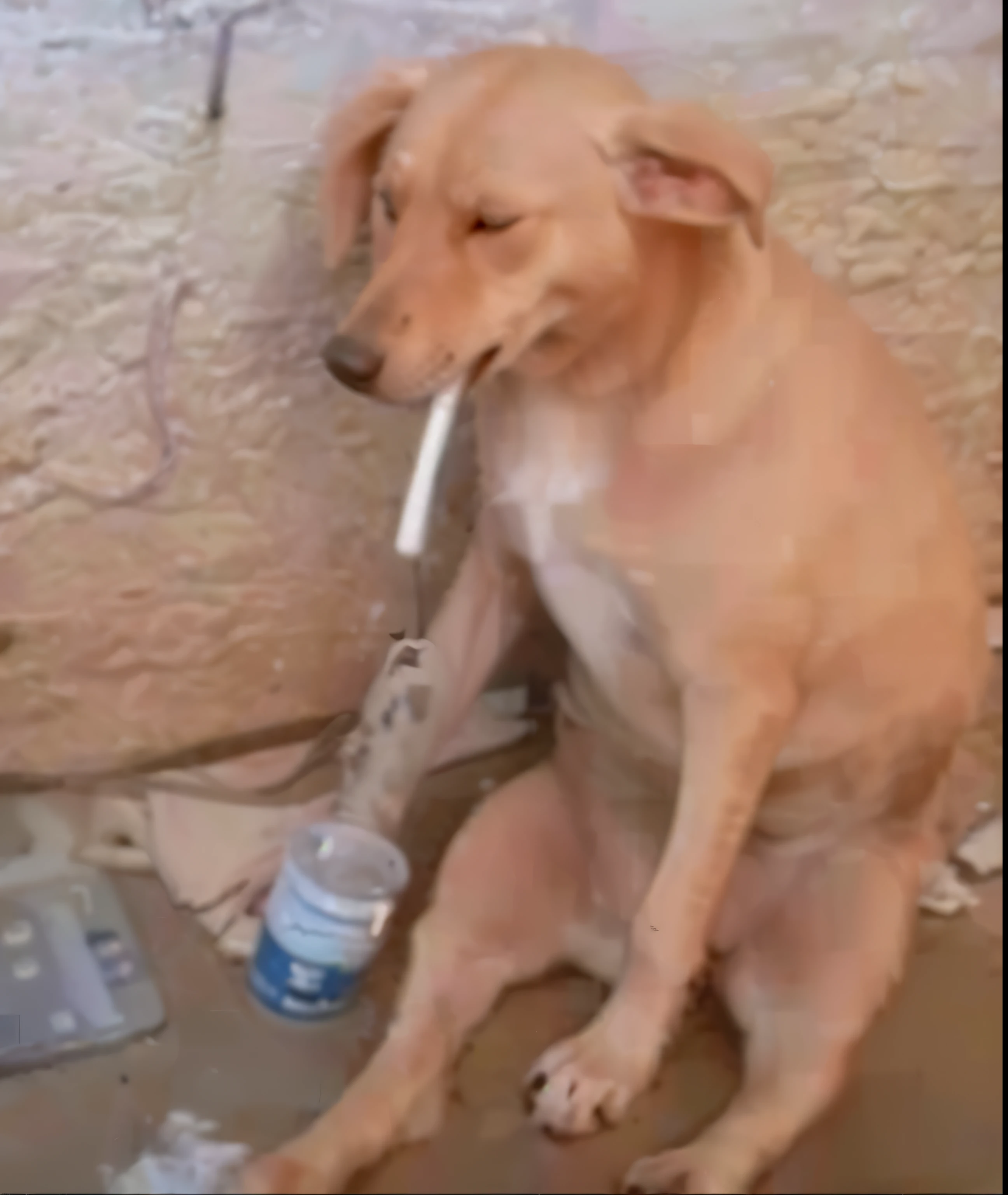 puppy chewing on a cigarette in a dirty room, taking a smoke break, with a cigarette in its mouth, male emaciated, there is a cigar in his mouth, a sad, cigarette in his mouth, heartbreaking, very thirsty, dog as a god, tired and drunk, he is a long boi ”, emaciated, drinking and smoking