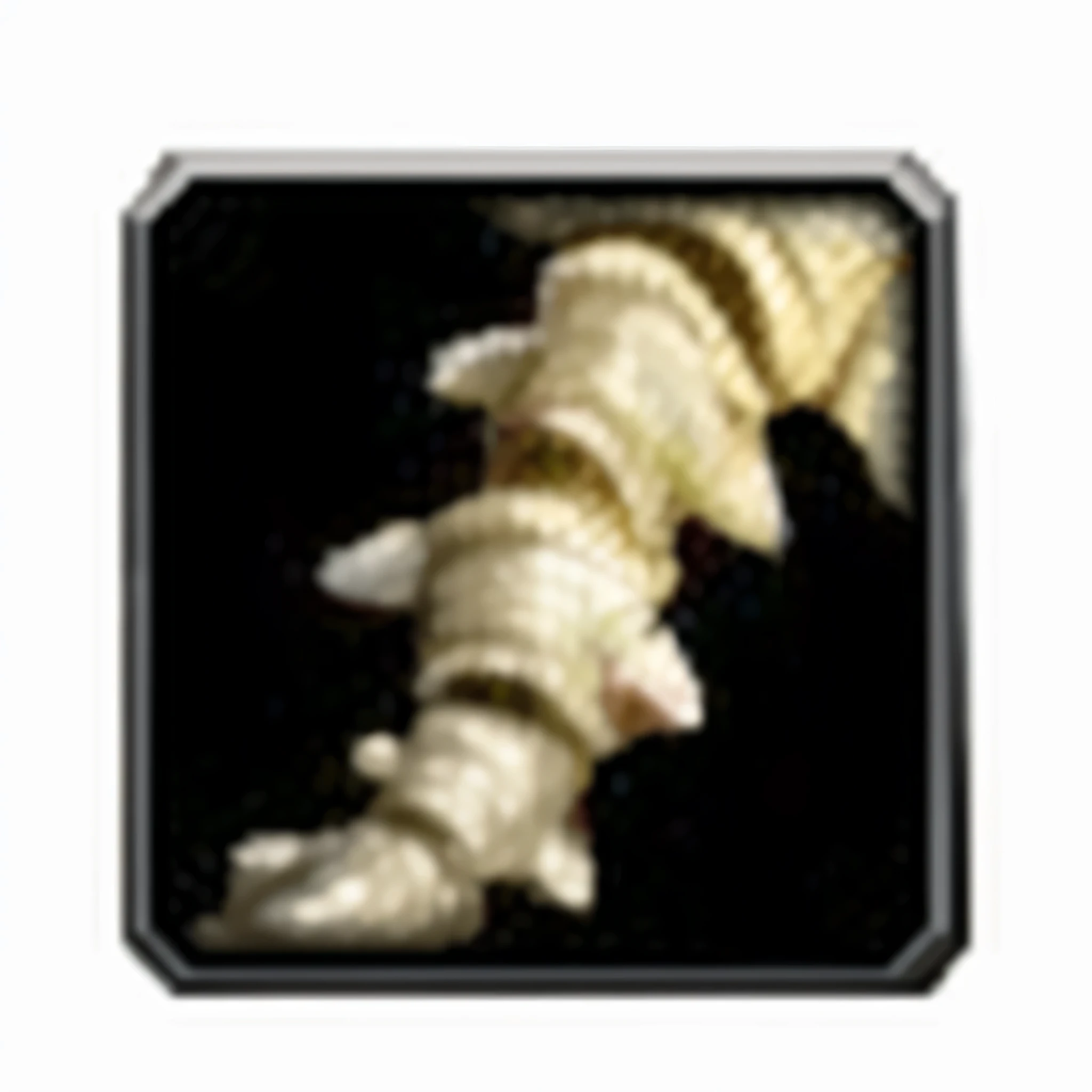 黑色背景Bone的特写, Sculpted Bone collar, Bone scepter, Bone armor, Ivory carved collar, dragon stomach, fractal Ivory carved collar, Bone骼的, dragon legs, Stomach heat details, Severe jpeg artifacts blurry, white human spine, detailed stomach, Bone, tendon, Bone joints, Severe jpeg artifacts, ear shell, Bone首饰