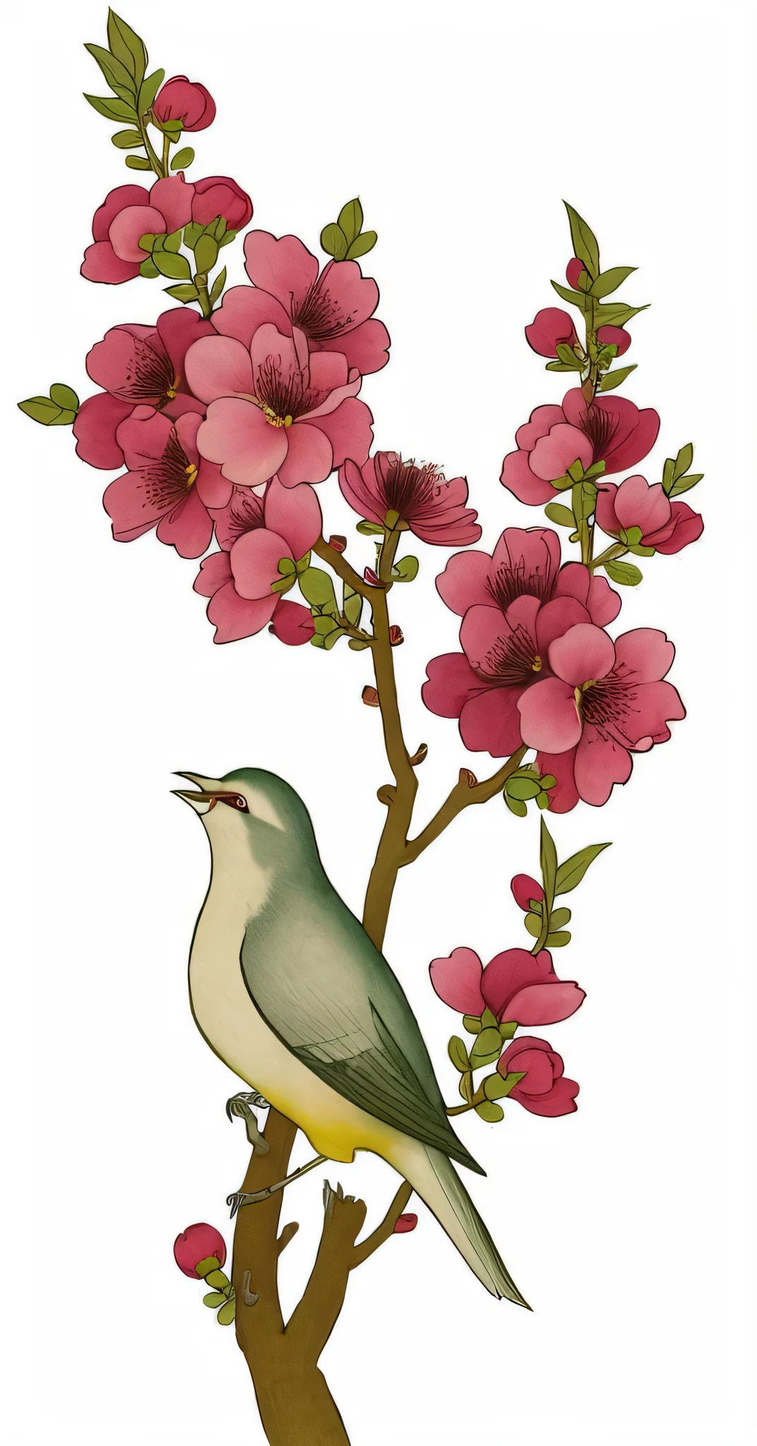 there is a bird sitting on a branch of a tree with flowers, inspired by Ohara Koson, inspired by John James Audubon, inspired by Koson Ohara, inspired by Edwin Dickinson, birds on cherry tree, illustration, inspired by Robert Bateman, an illustration, bird nightingale as subject, an illustration of, blossoming, the non-binary deity of spring