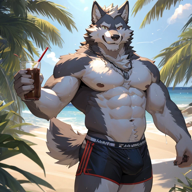 pantless, 1 boy, solo, furry, light-white fur, brown fur, white beard, anthro (wolf), male, middle-aged, gray body, white belly, tail, fat, drink sperm, high quality, super detail, 1080P, high quality, best quality, 8k, super detail, 16k, highres, HD, 16k, highres, HD, hand hold camera, natural light, wet jockstrap, lower body is raised in the crotch, perject face, detail eyes, smile at you, beach