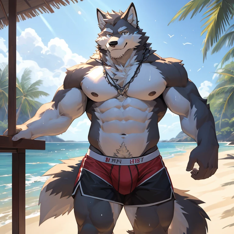 pantless, 1 boy, solo, furry, light-white fur, brown fur, white beard, anthro (wolf), male, middle-aged, gray body, white belly, tail, fat, drink sperm, high quality, super detail, 1080P, high quality, best quality, 8k, super detail, 16k, highres, HD, 16k, highres, HD, hand hold camera, natural light, wet jockstrap, lower body is raised in the crotch, perject face, detail eyes, smile at you, beach