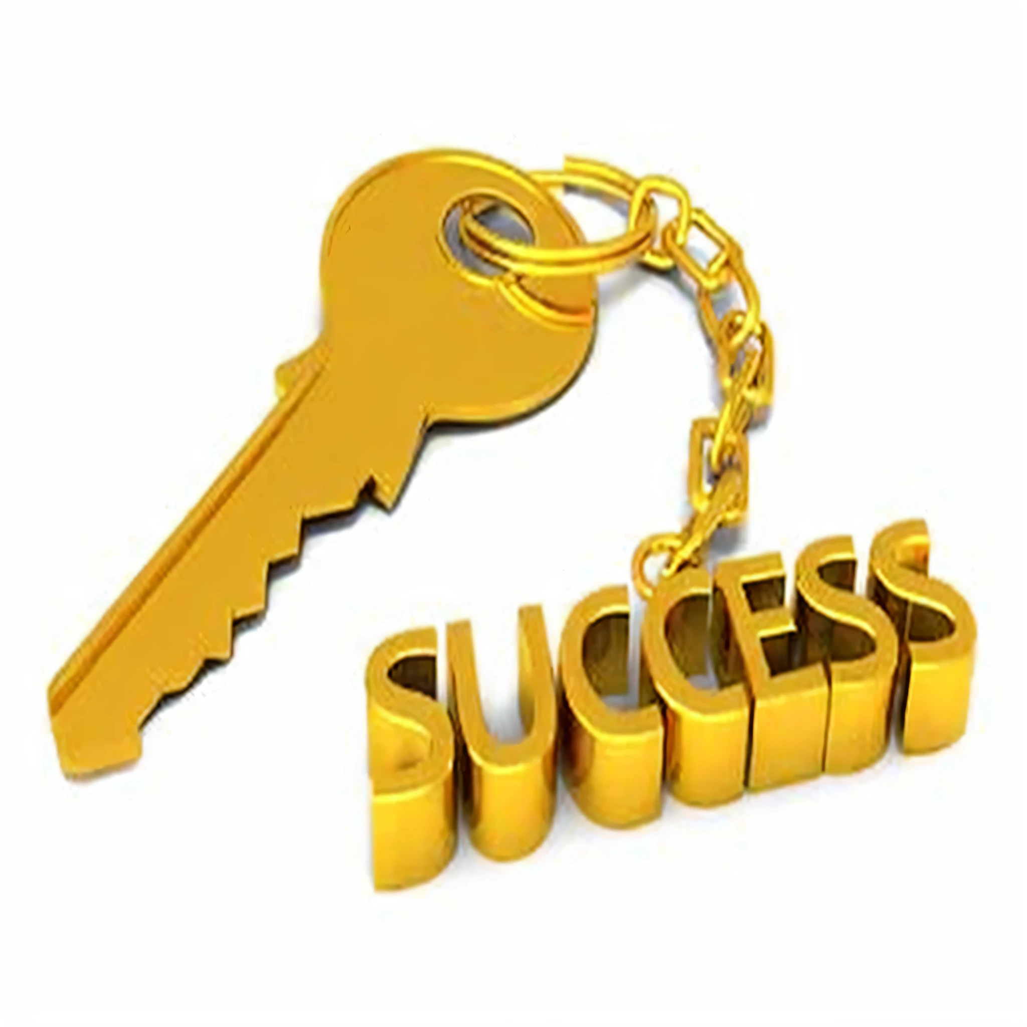 a golden keychain with the word success hanging from it, success, golden key, huge success, by Nicholas Marsicano, by Silvia Dimitrova, keys, by Elaine Hamilton, by Ryan Pancoast, by derek zabrocki, ilustration, by Heather Hudson, by Tony Szczudlo, by Robert Richenburg