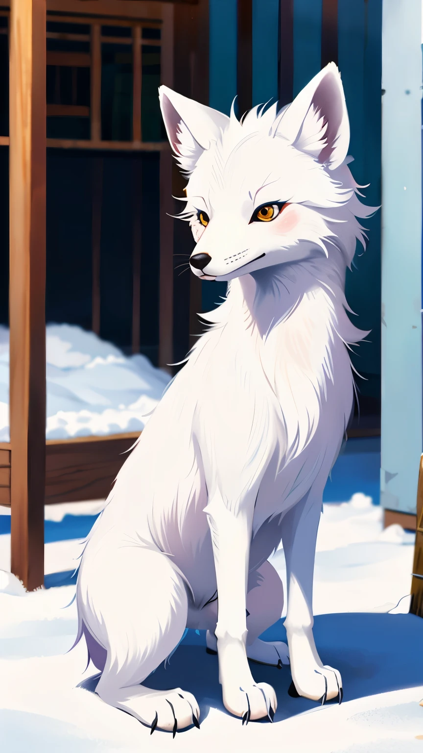 Arctic fox in the zoo's breeding room