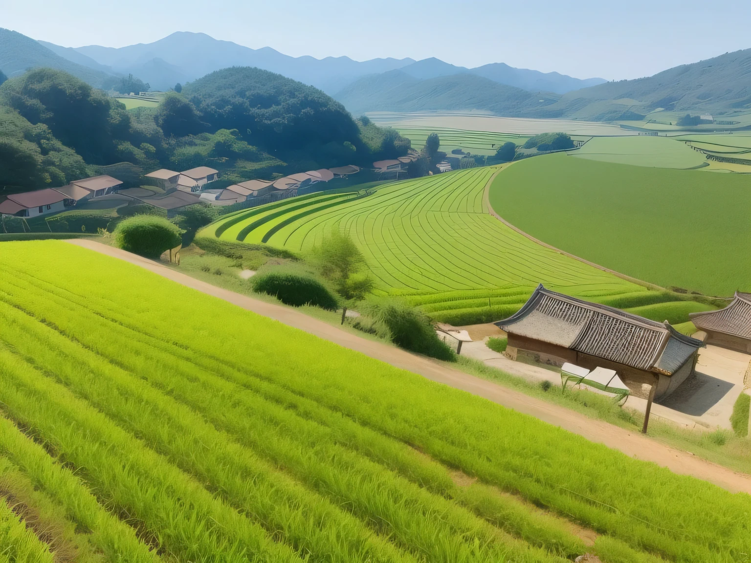 一片黄paddy的景色,rural area, on a sunny day, beautiful sunny day, paddy, idyllic fertile soil, 非常美麗的paddy風景, ,village in background, very beautiful scenery, rural area旅游