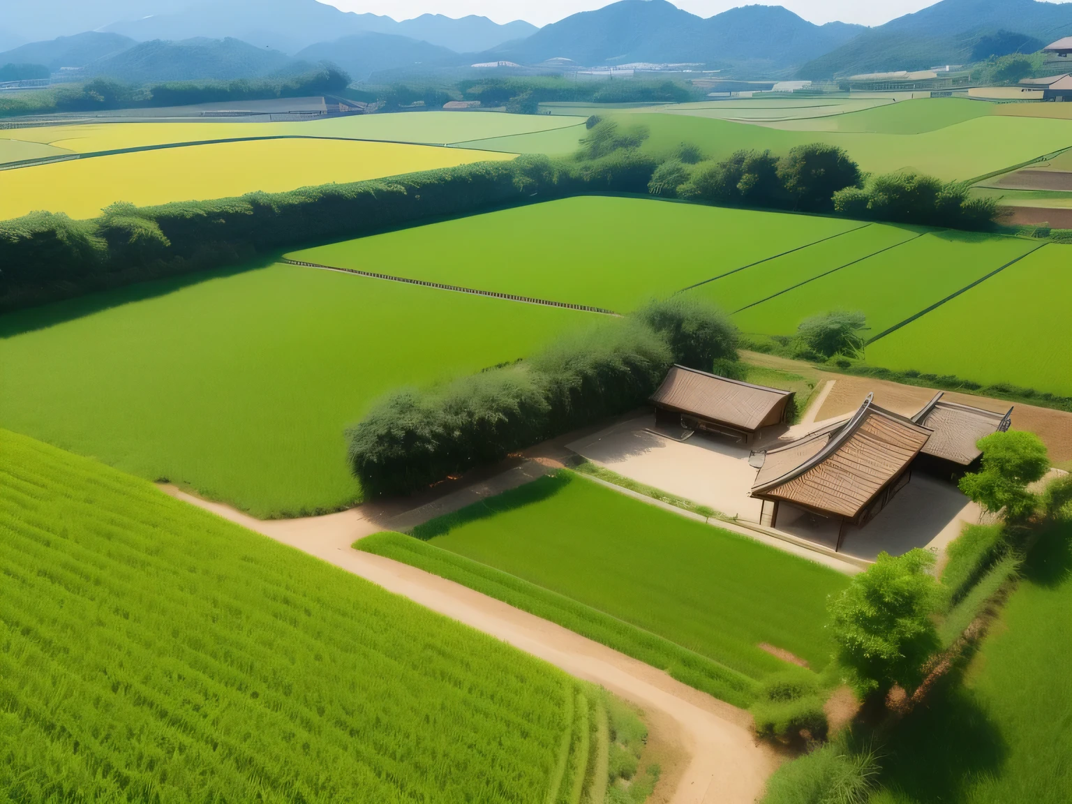 一片黄paddy的景色，rural area, on a sunny day, beautiful sunny day, paddy, idyllic fertile soil, 非常美麗的paddy風景, ,village in background, very beautiful scenery, rural area旅游