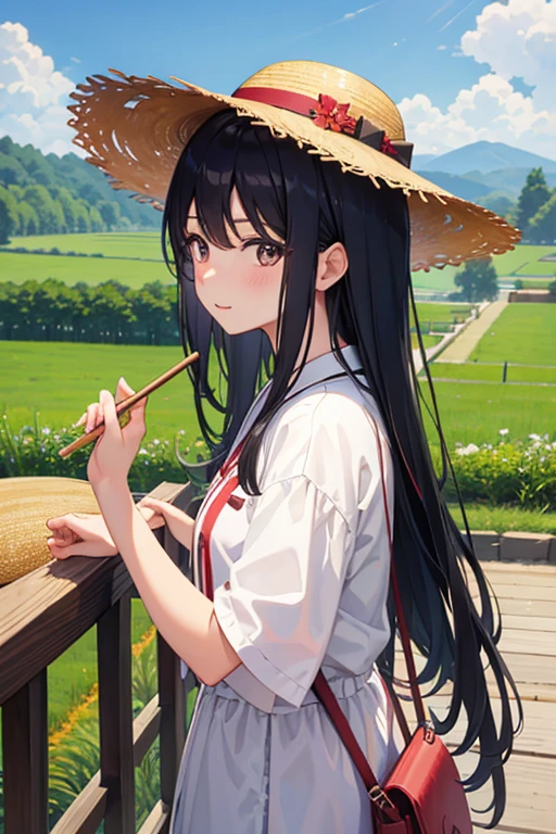 Inada、countryside、Azemichi、1 girl、black hair、straw hat、