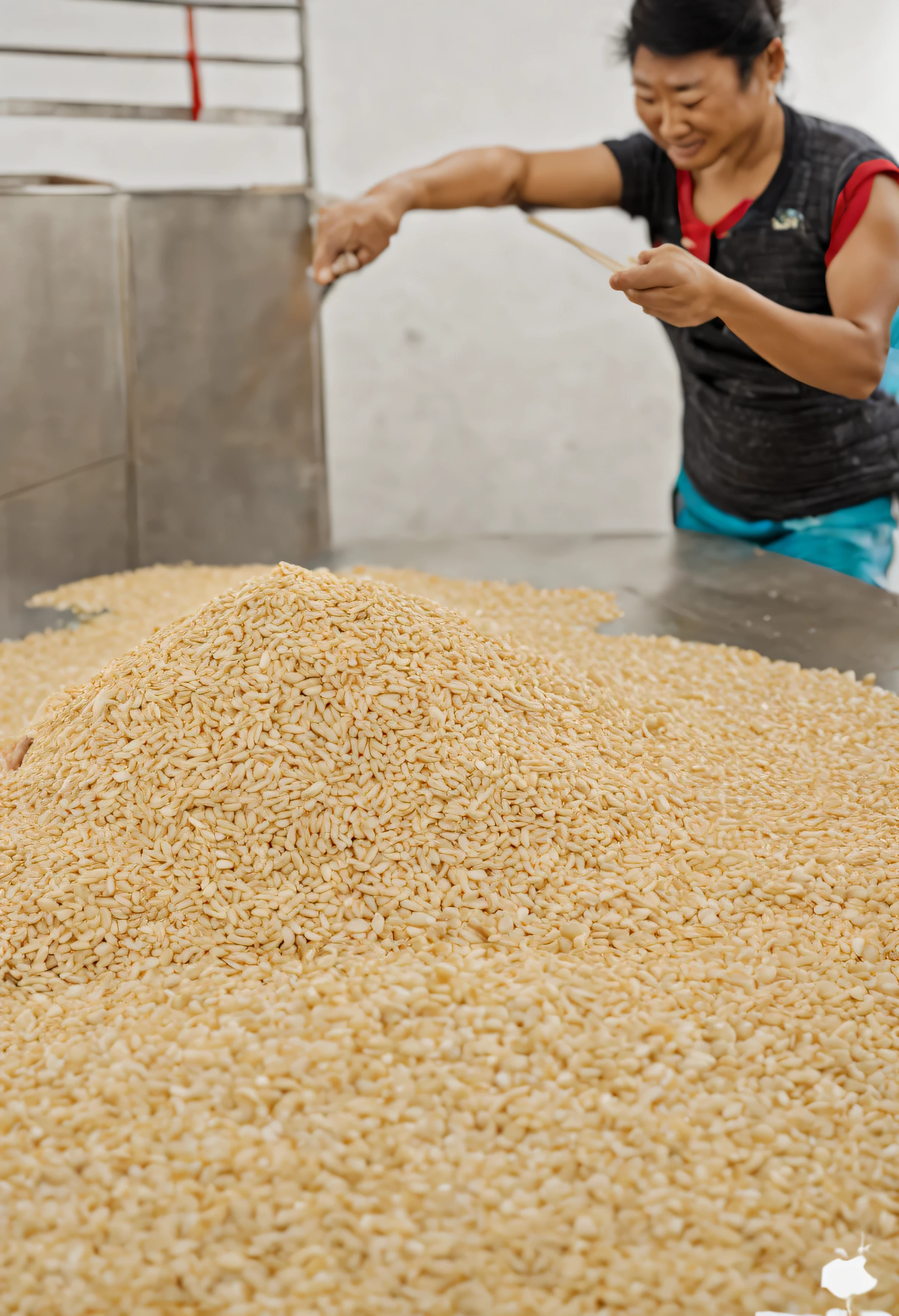 sesame seeds,a lot of,bumper harvest,drying,Many,watt,drying场