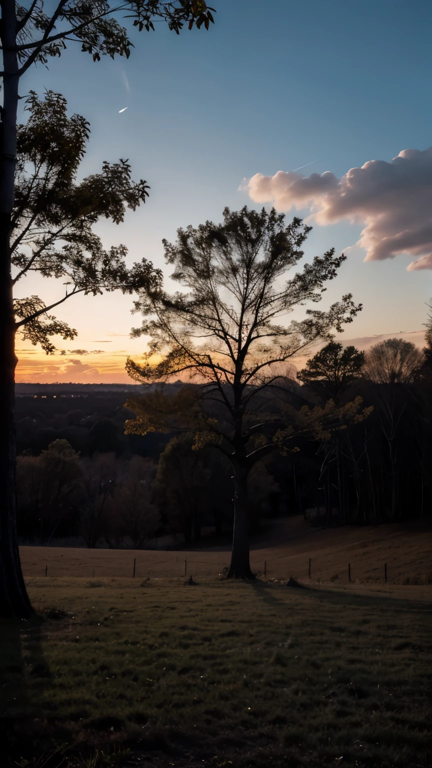 Dark, Twilight, Wood, Branches, Sky, Dusk, Tree