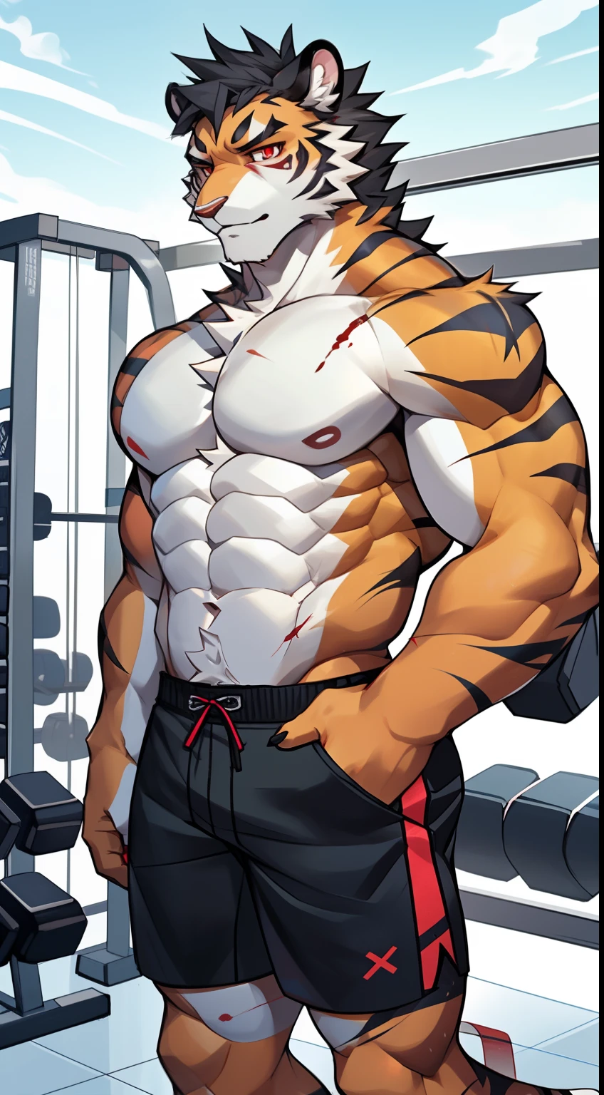 Siberian tiger,There are some scars on the body,blood red eyes,half naked,shorts,Handsome,Have a good figure,gym fitness,Cai Xukun's