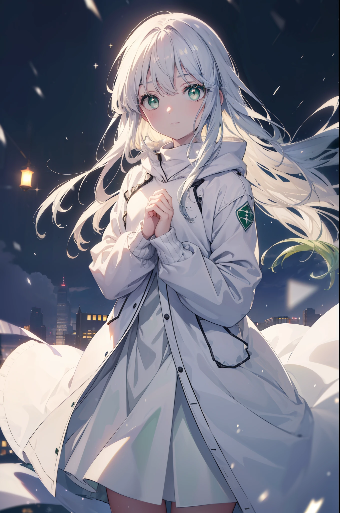 index, index, (green eyes:1.5), silver hair, long hair,smile, (flat chest:1.2),White Long Hoodie,gray long skirt,sneakers,Both hands are in the pockets of the hoodie,winter,cold sky,It&#39;s snowing,
break looking at viewer, Upper body, whole body,
break outdoors, garden,
break (masterpiece:1.2), highest quality, High resolution, unity 8k wallpaper, (figure:0.8), (detailed and beautiful eyes:1.6), highly detailed face, perfect lighting, Very detailed CG, (perfect hands, perfect ???????),