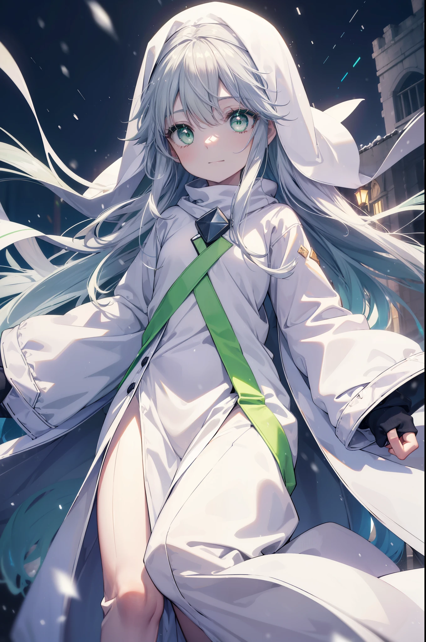 index, index, (green eyes:1.5), silver hair, long hair,smile, (flat chest:1.2),White Long Hoodie,gray long skirt,sneakers,Both hands are in the pockets of the hoodie,winter,cold sky,It's snowing,
break looking at viewer, Upper body, whole body,
break outdoors, garden,
break (masterpiece:1.2), highest quality, High resolution, unity 8k wallpaper, (figure:0.8), (detailed and beautiful eyes:1.6), highly detailed face, perfect lighting, Very detailed CG, (perfect hands, perfect anatomy),