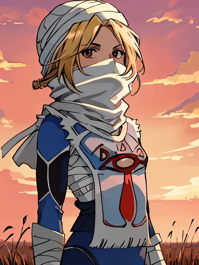 masterpiece, best quality, lozsheik, 1girl, turban, covered mouth, scarf, blue bodysuit, surcoat, bandages, standing, upper body, looking at viewer, furrowed brow, red sky, field, clouds 