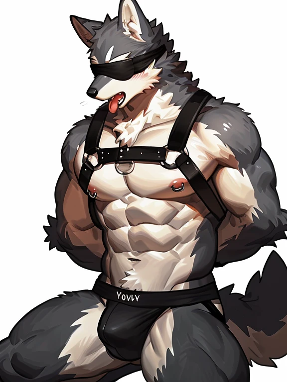 by pgm300,by fuguri,by kiyosan,by milkytiger1145,
furry,kemono,anthro,
male,solo,
wolf,wolf ears,wolf tail,
grey fur,
(blindfold:1.35),
open mouth,tongue out,
collarbone,
pink nipples,
nipple piercing,
abs,navel,
jockstrap,
harness,harness ring,
arms behind back,
kneeling,
