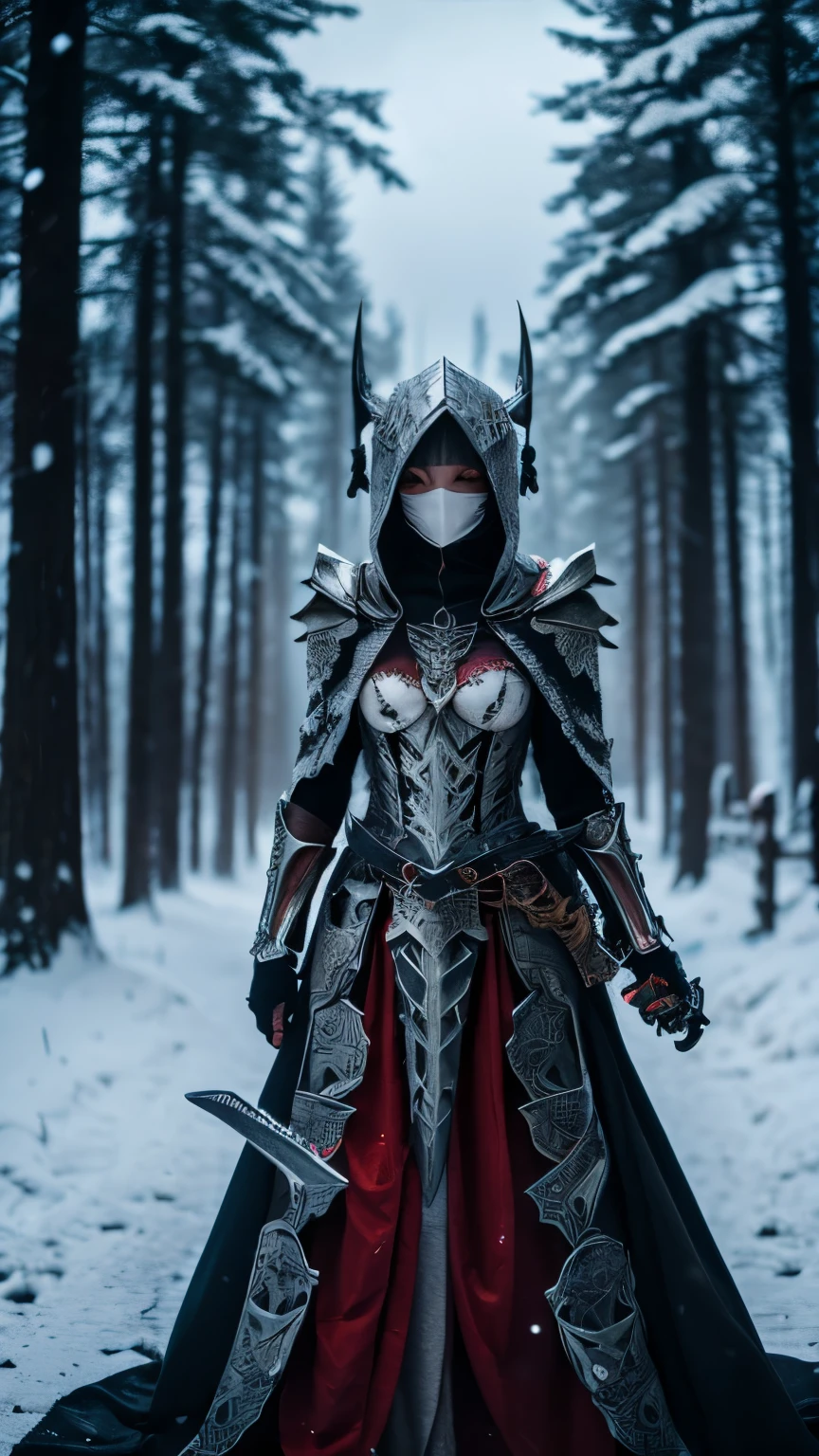 ((masterpiece, highest quality, figure)), chaos theme, horror theme, girl, covered eyes, mask, skull, headgear, Skeleton armor, skeleton print, armored dress, floating cloak, jacket removed, alone, Planted a lot_sword, Remains, cloudy sky, it's snowing, dark lighting