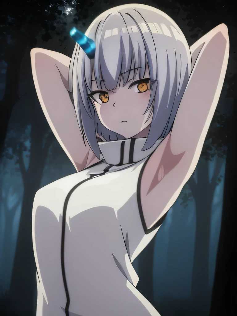 Atar
anime, hdr, soft light, ((best quality)), ((masterpiece)), (detailed), 2D, anime, anime coloring, high quality, closed mouth, solo, upper body, night sky, forest, arms behind head, contrapposto, expressionless, spread armpits,