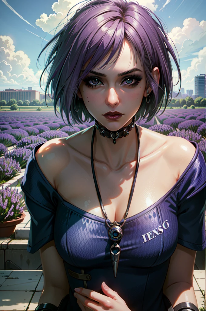 (masterpiece, best quality:1.3) 
MistyCyberpunk, 1girl, solo, looking at viewer, short hair, make up, cyberpunk, lavender field, midday, bright and vibrant with rows of purple blooms clouds, reflections, digital art