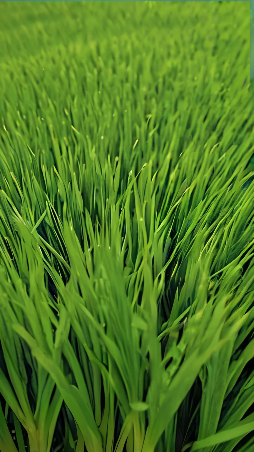 Closeup of grass, zoom200x, ignore: v2.1