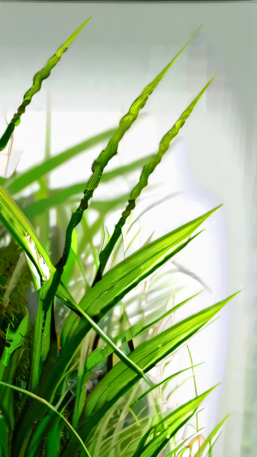 Closeup of grass, zoom200x, ignore: v2.1