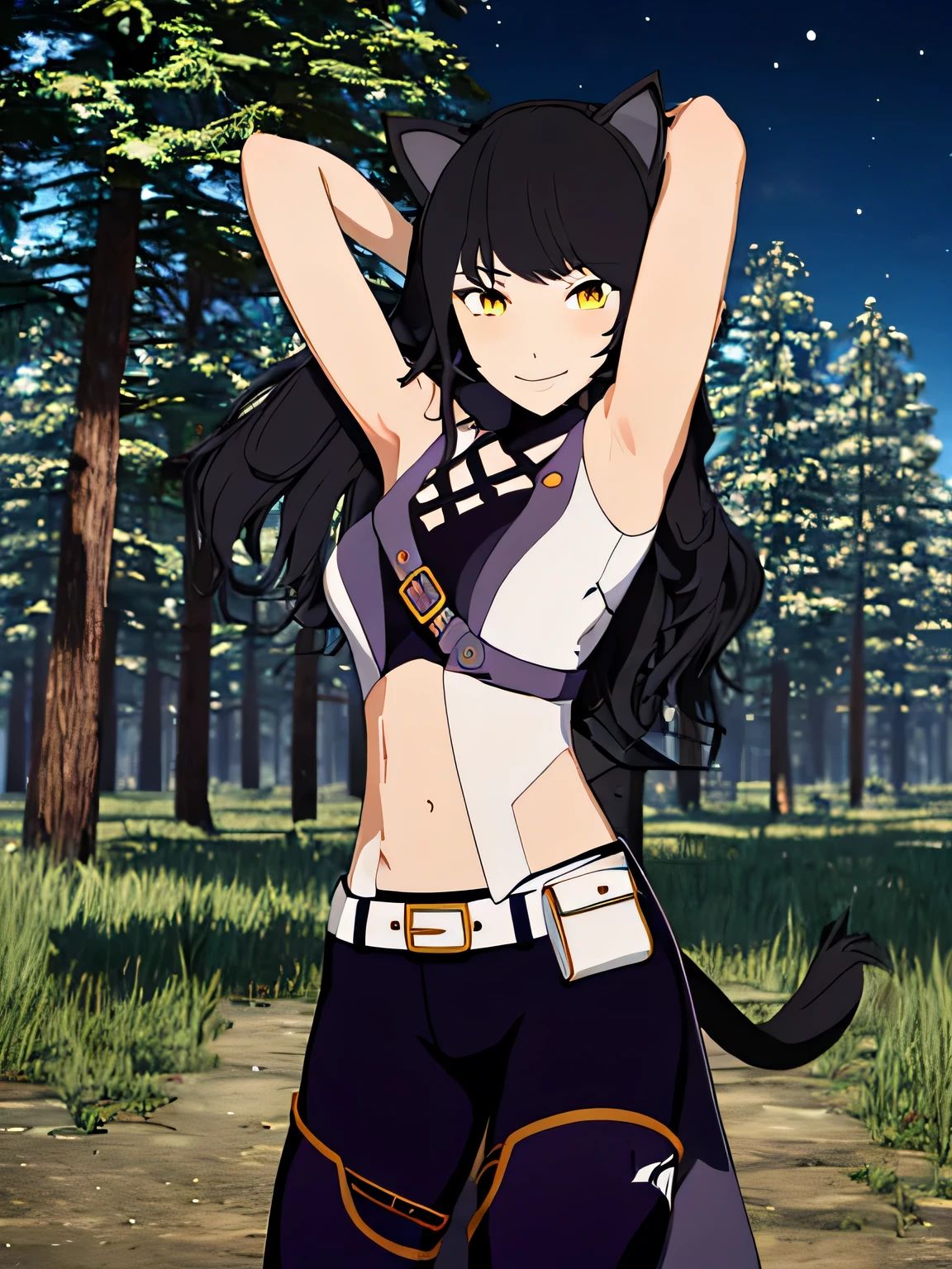 ((masterpiece,best quality)), 
Blake_RWBY,   1girl, solo, black hair, long hair, cat ears, animal ears, yellow eyes,
 belt, midriff, pants, jacket, 
solo, smiling, looking at viewer, high quality, closed mouth, solo, cowboy shot, night sky, forest, arms behind head, contrapposto, spread armpits,
cinematic composition, 