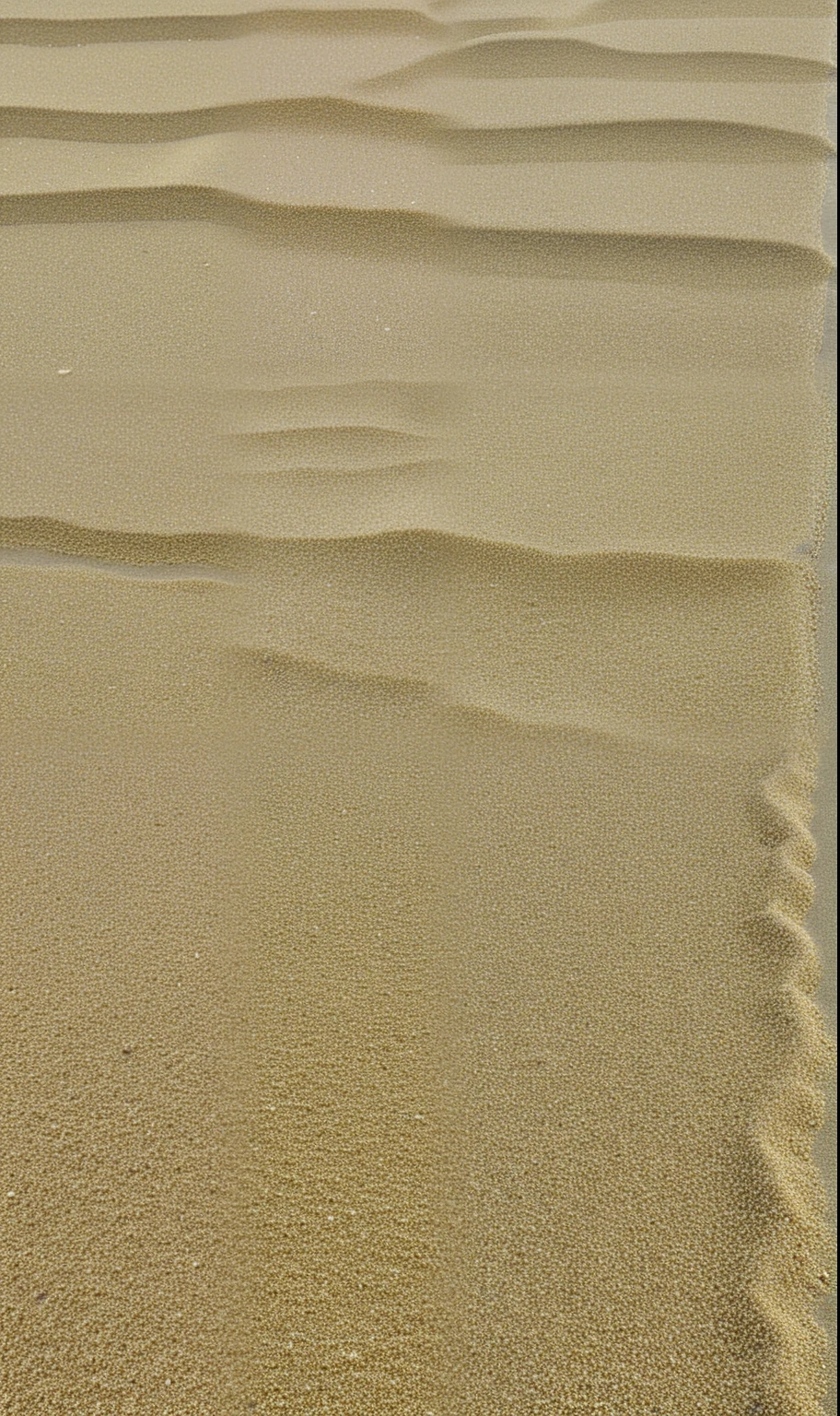Closeup of sand beach, zoom200x, ignore: v2.1