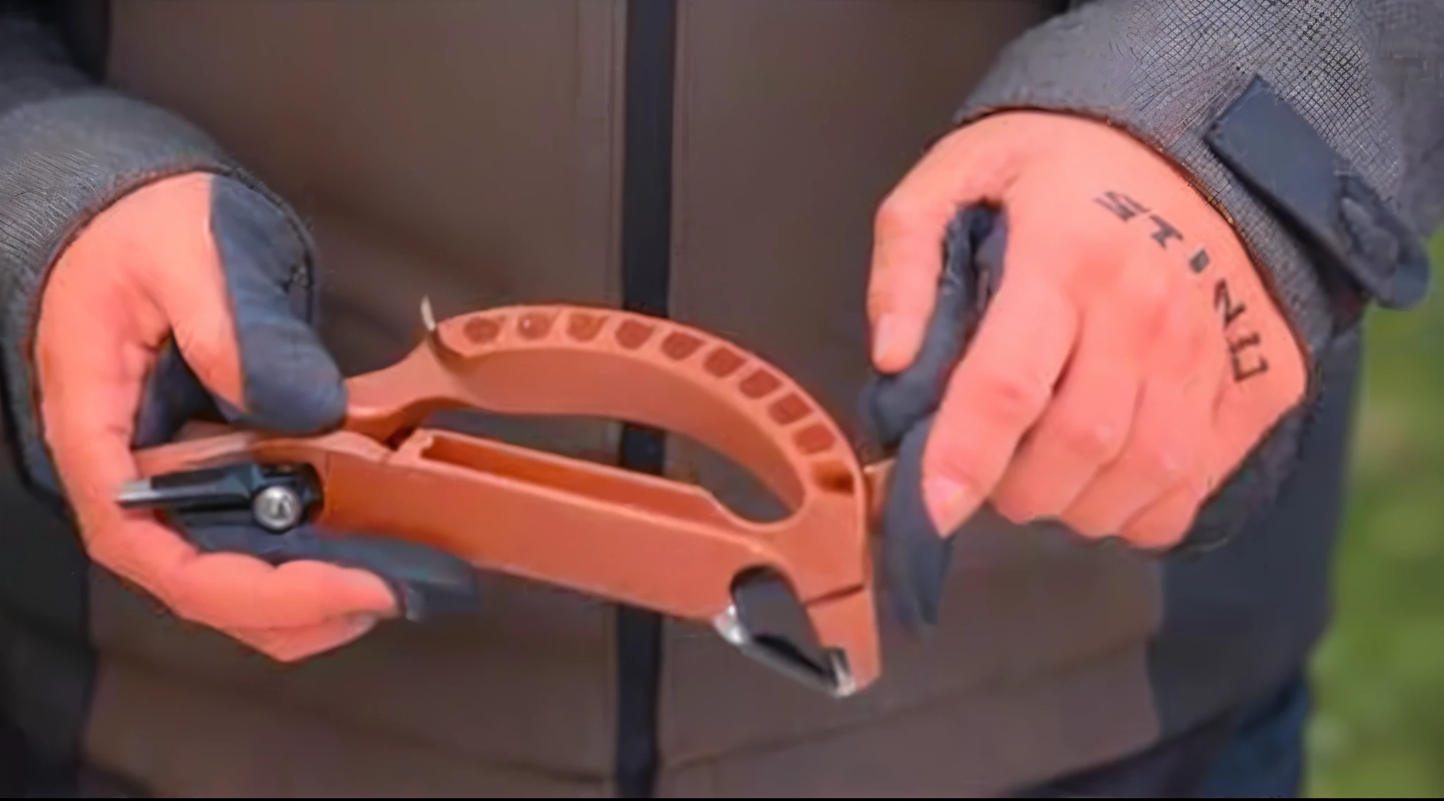penis
