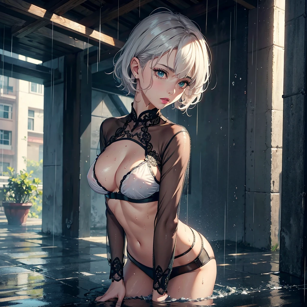 (Best quality, 4K, masterpiece :1.Beutiful women, 1 Sister, (, attractive body :1.2), Abs :1.1, silver short hair: 1.1, messy hair, (rainy wet, wet from rain, Soaked :1.2),big breasts, The face very detailed, detailed lips, full lips, pink lipstick, detailed eyes, green eyes,double eyelid, transparent clothing