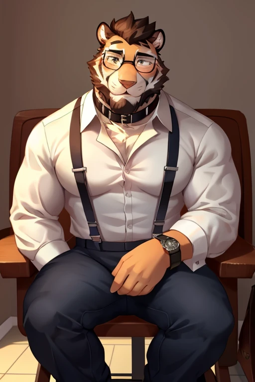 tiger, fat, shirt, 1boy, white shirt, upper body, male focus, collared shirt, pants, look to down me, suspenders, pectoral muscles, sleeves rolled up, watch, watch, wolf ears, beard, blush, sweat black and white stripes, collar dog, sweating, happy face, handsome, view looking up from directly below, sit on chair, glasses